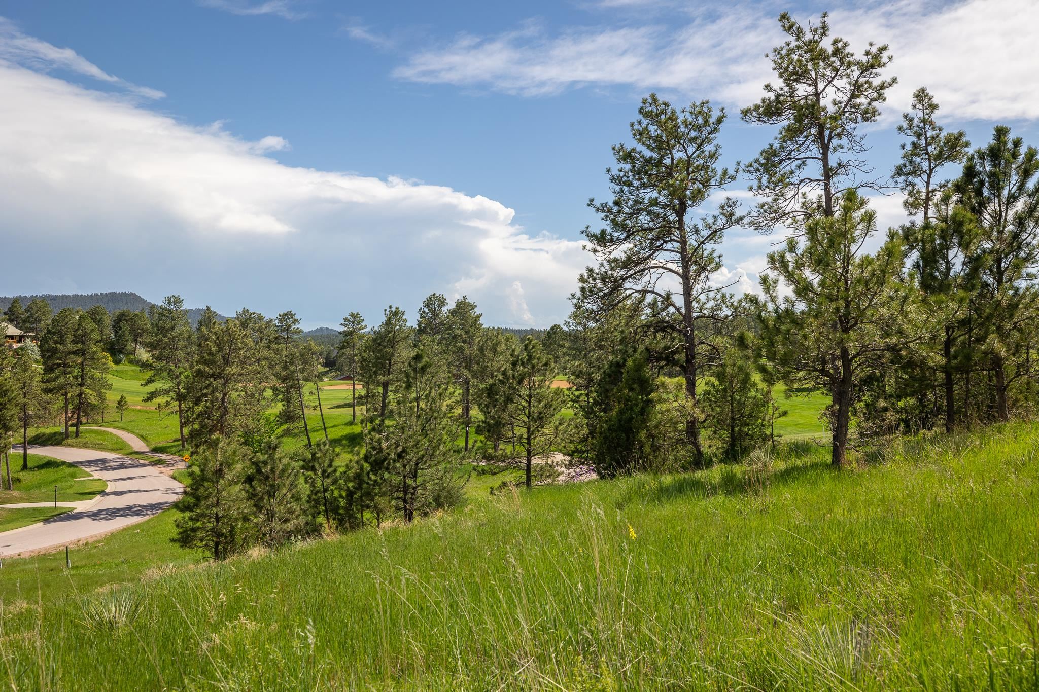 1106 Clubhouse Drive