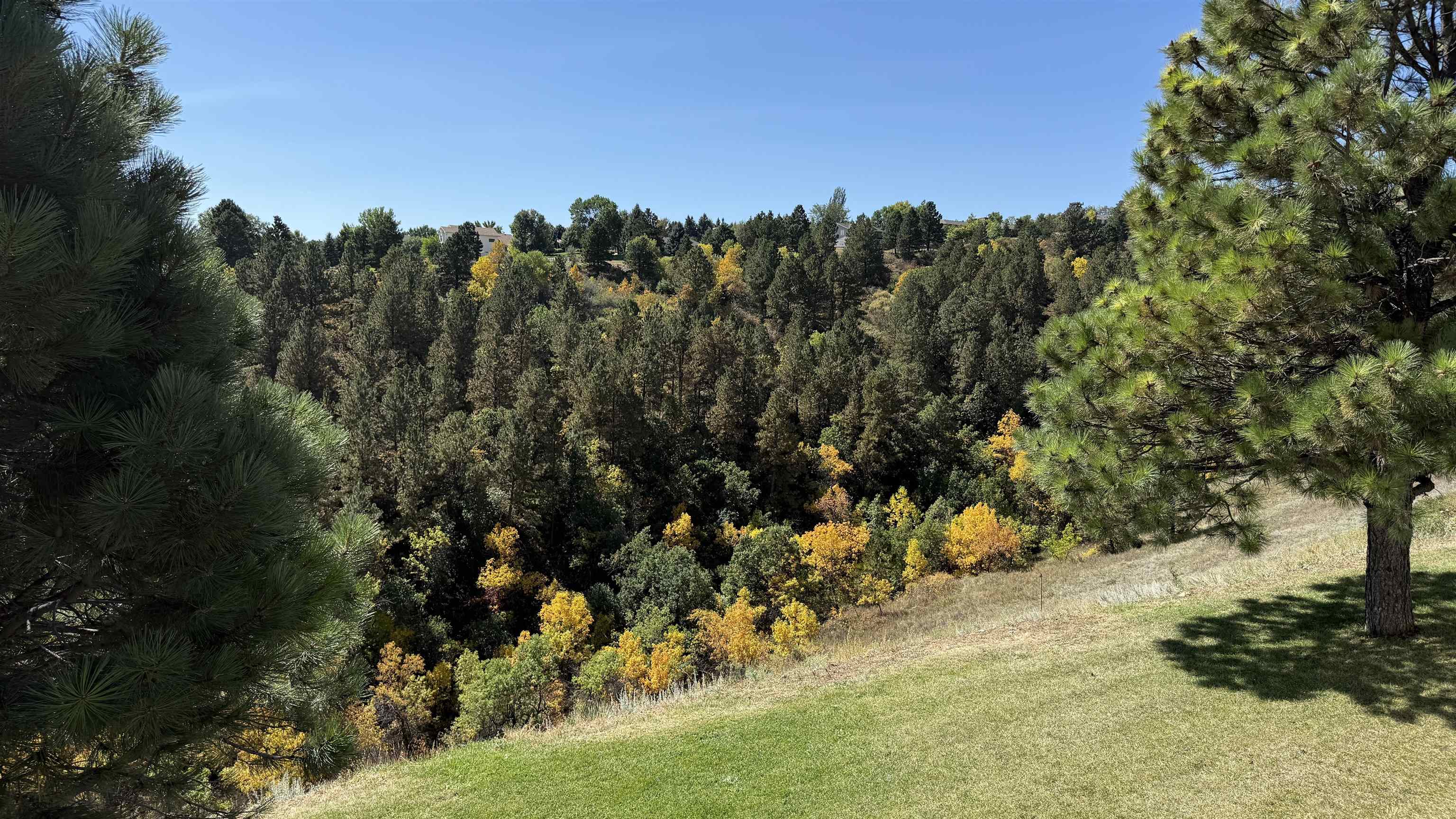 945 Enchantment Road