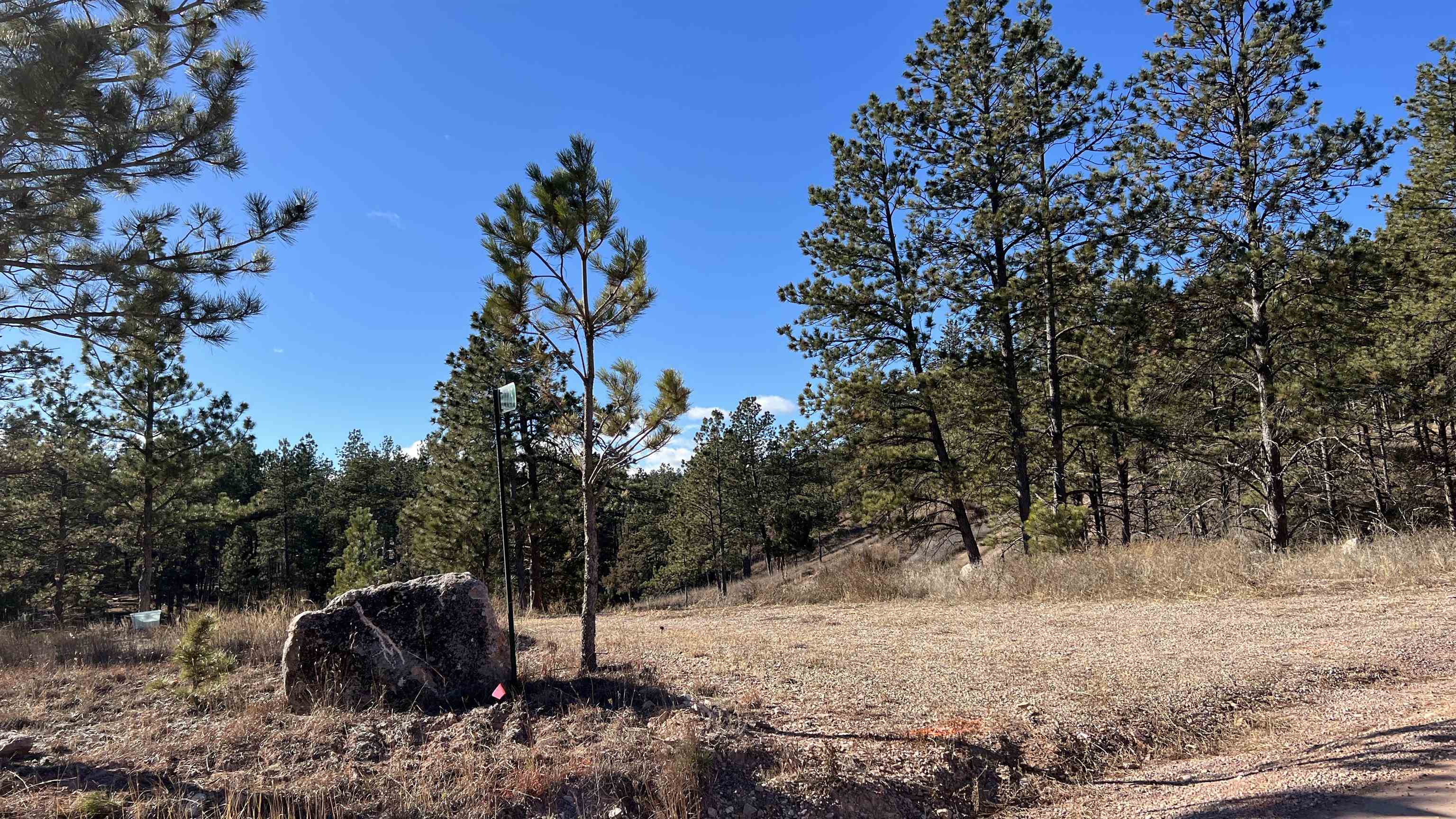 12725 Ridgeview Drive