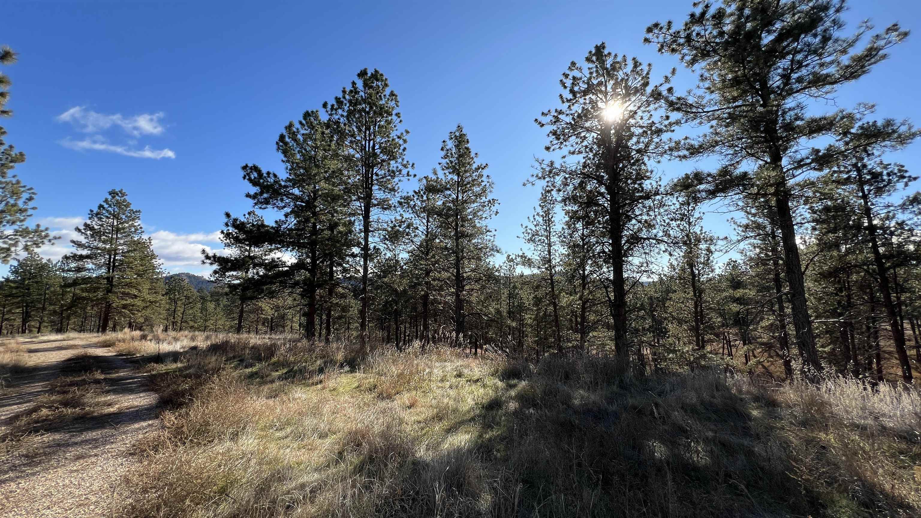 12725 Ridgeview Drive