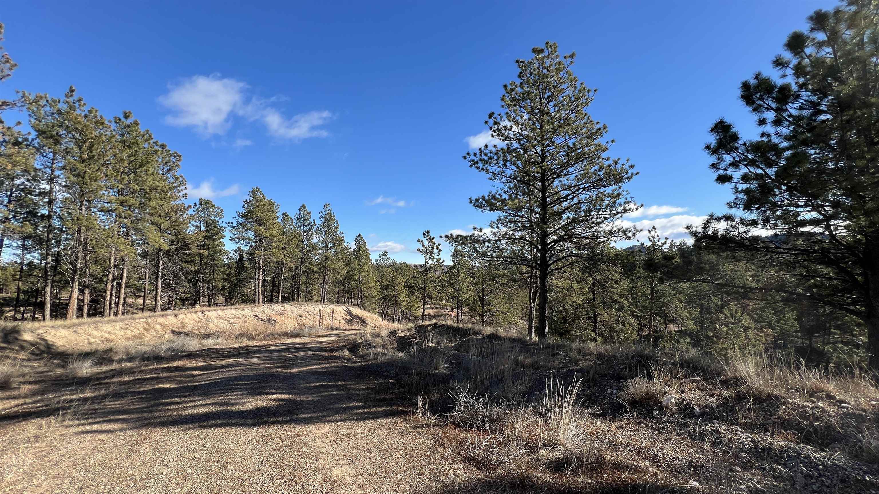 12725 Ridgeview Drive