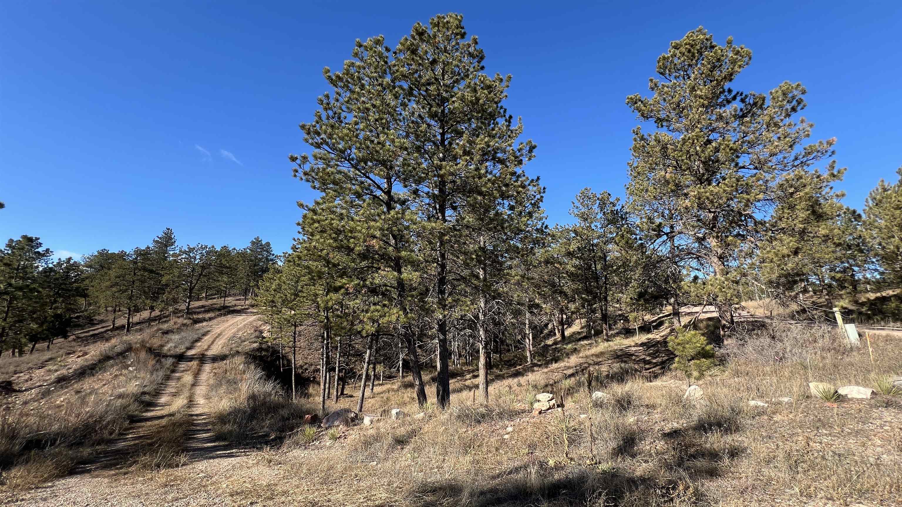 12725 Ridgeview Drive