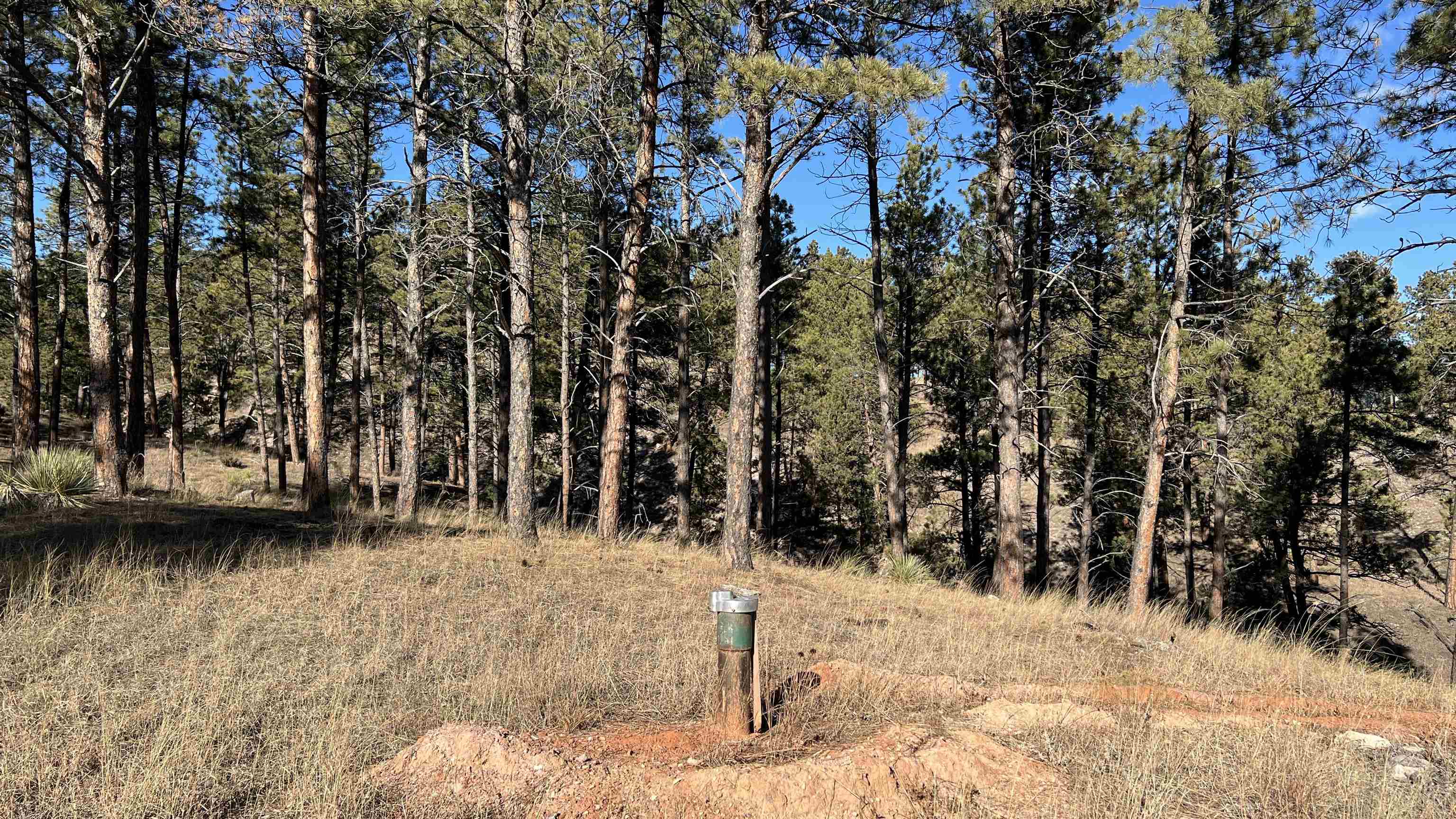 12725 Ridgeview Drive