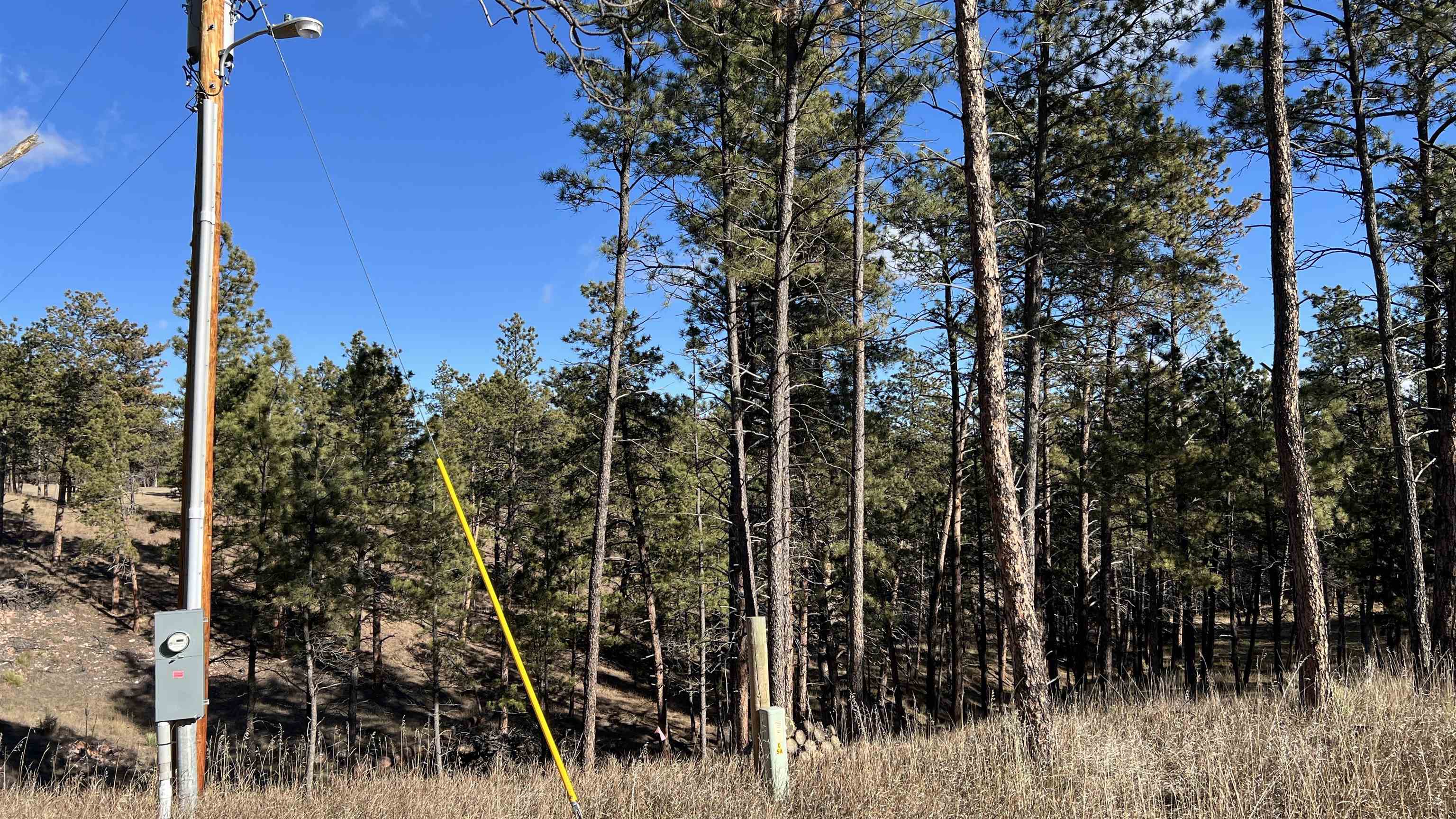 12725 Ridgeview Drive