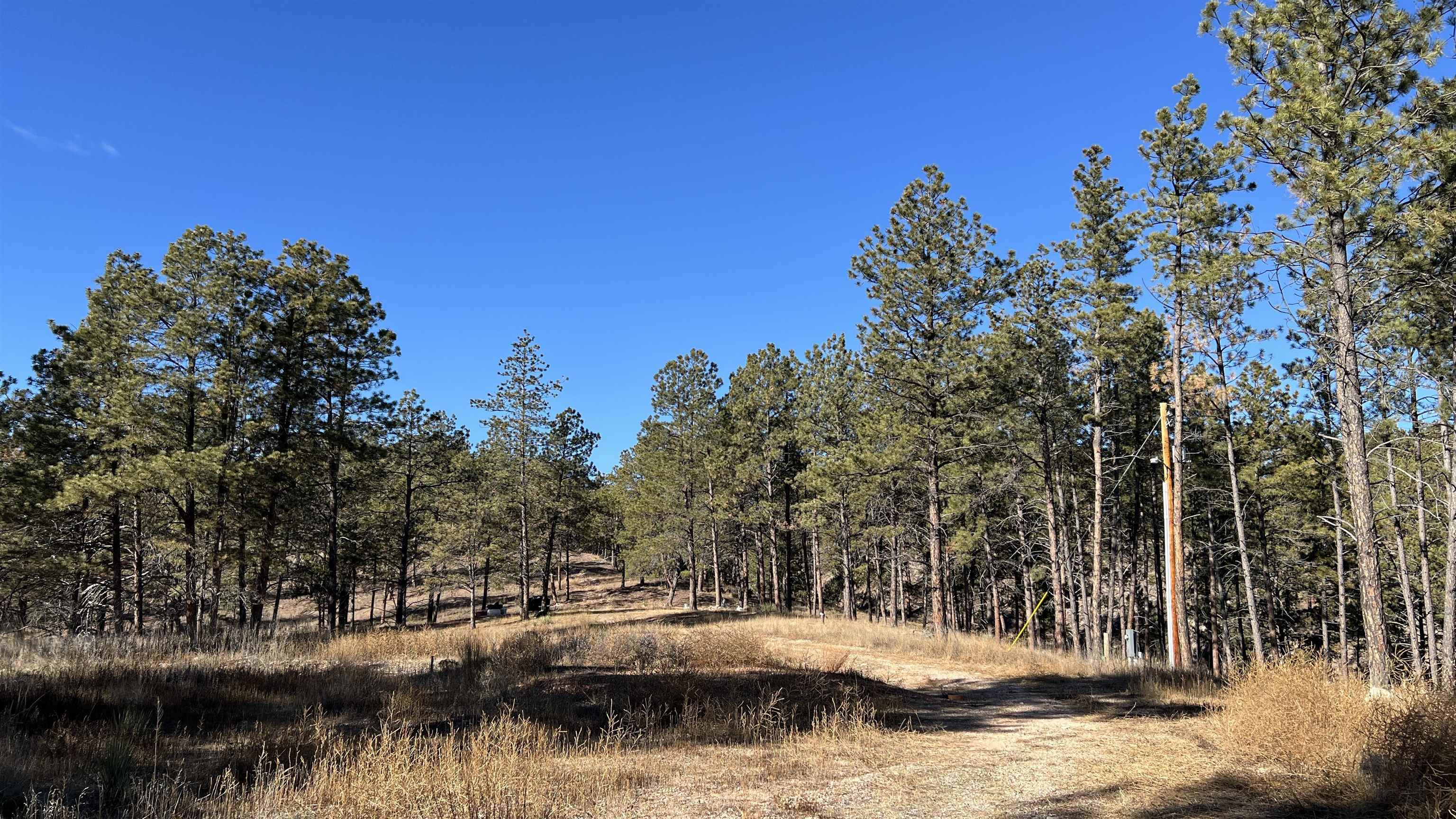 12725 Ridgeview Drive