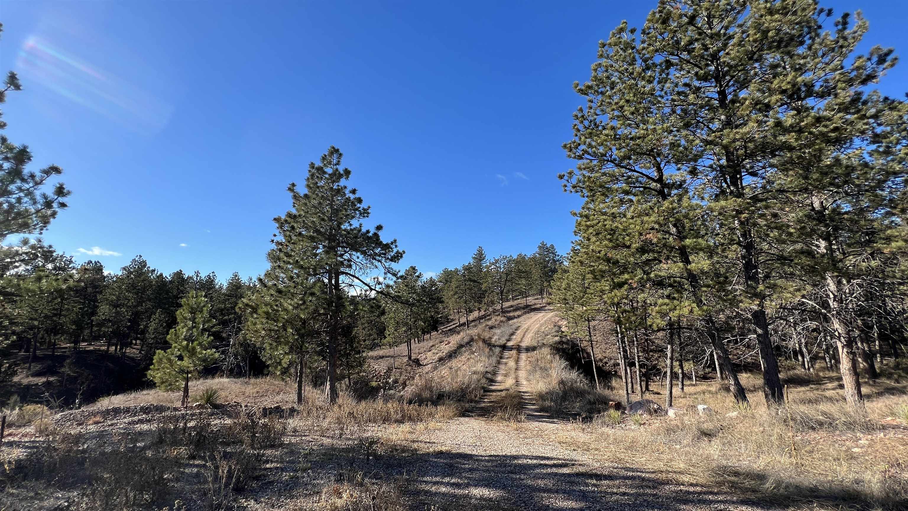 12725 Ridgeview Drive