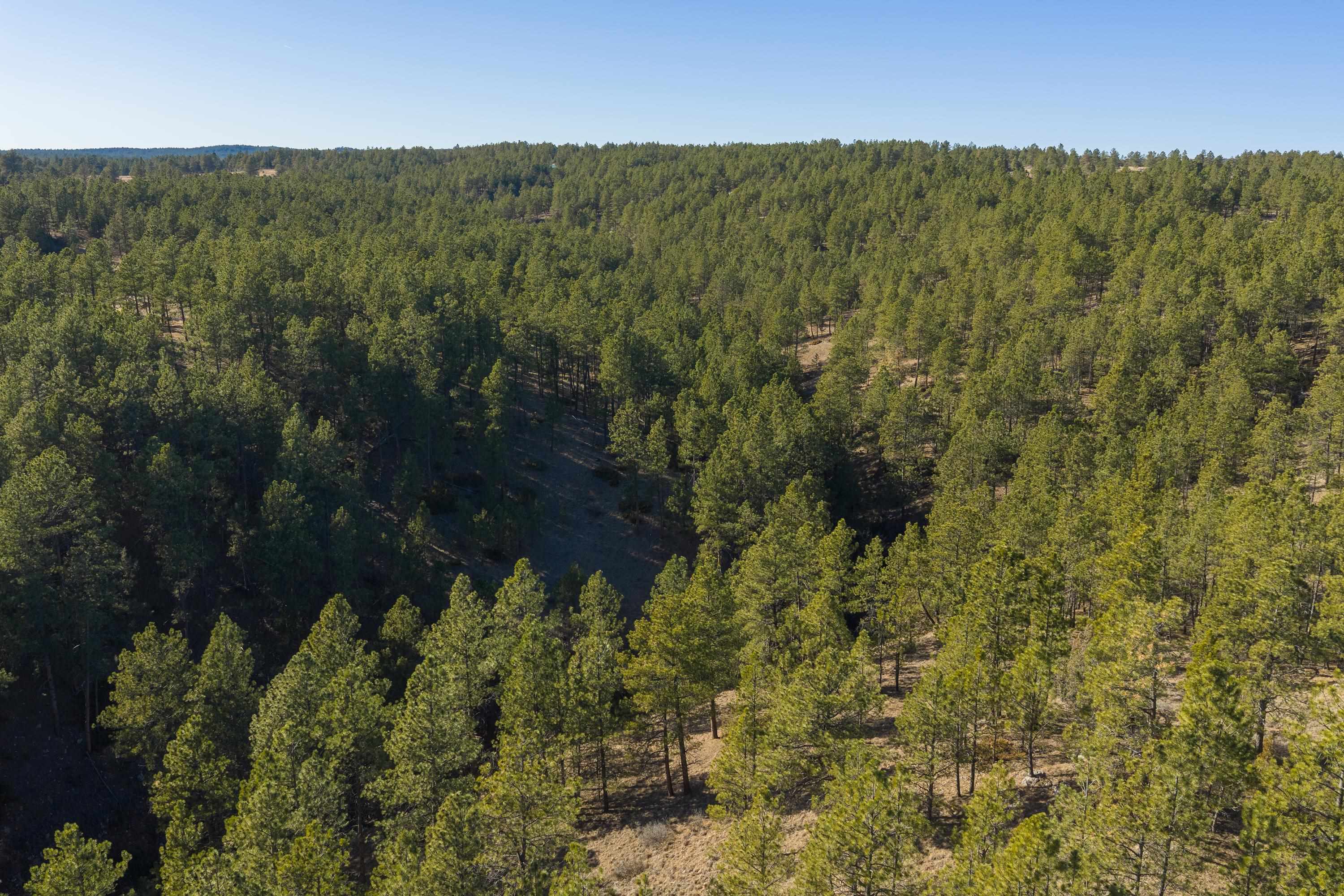 Tract 12R Northview Court