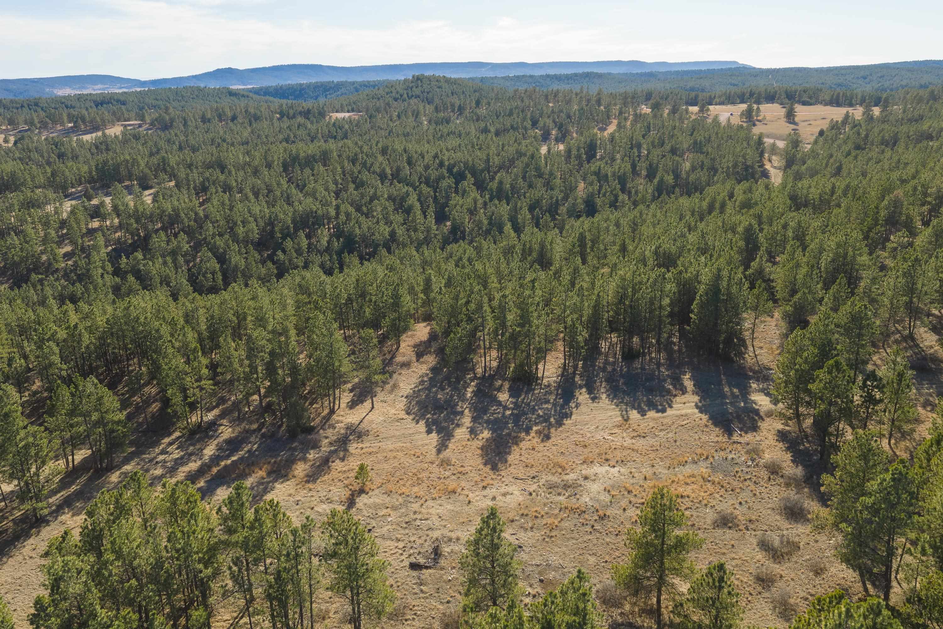 Tract 12R Northview Court