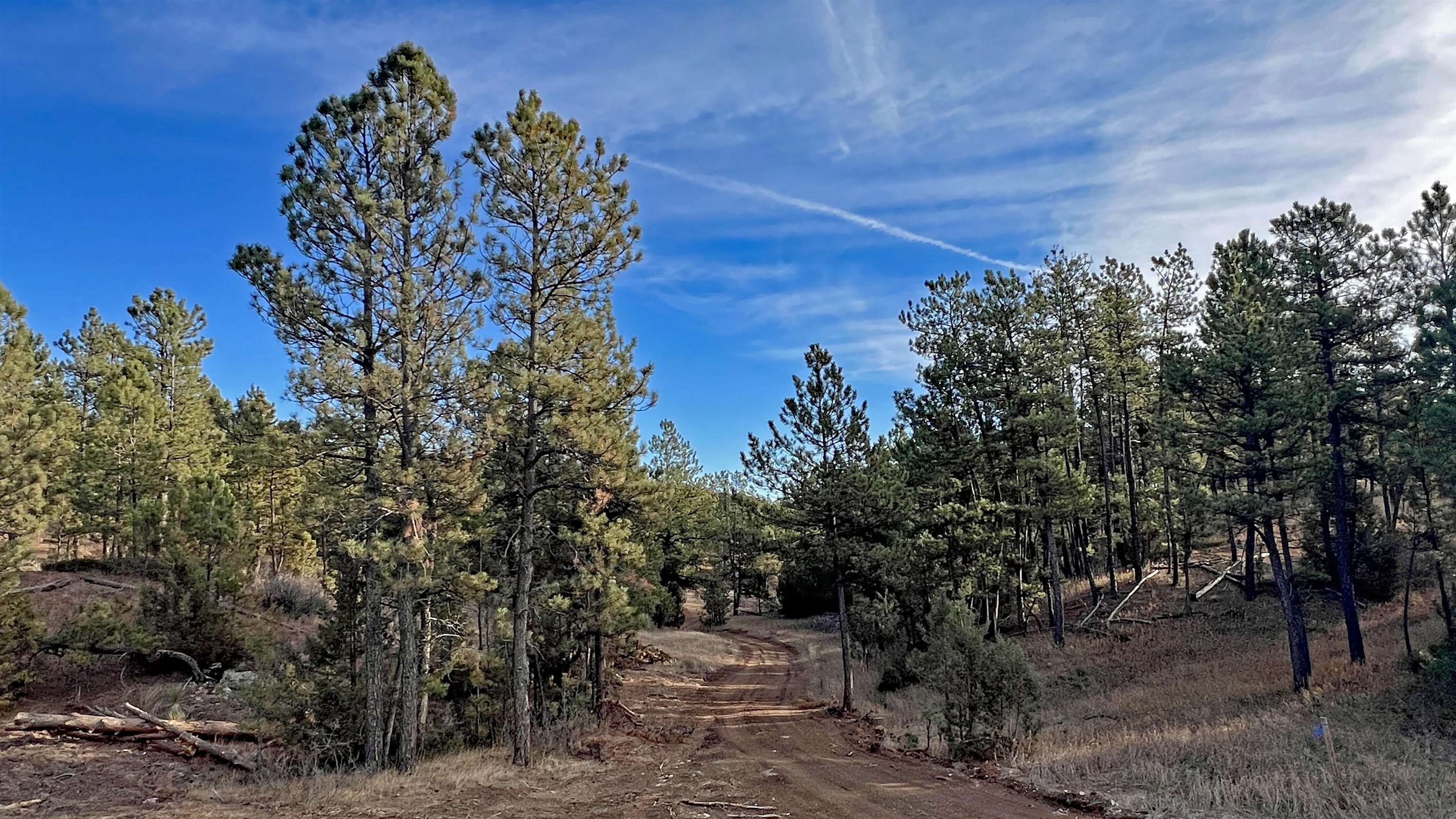 Tract 12R Northview Court