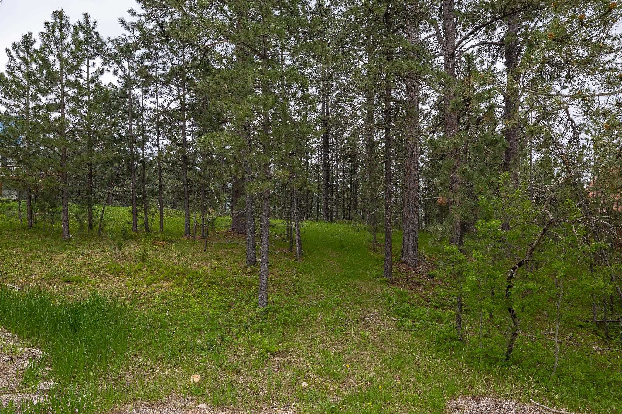 21220 Last Chance Trail