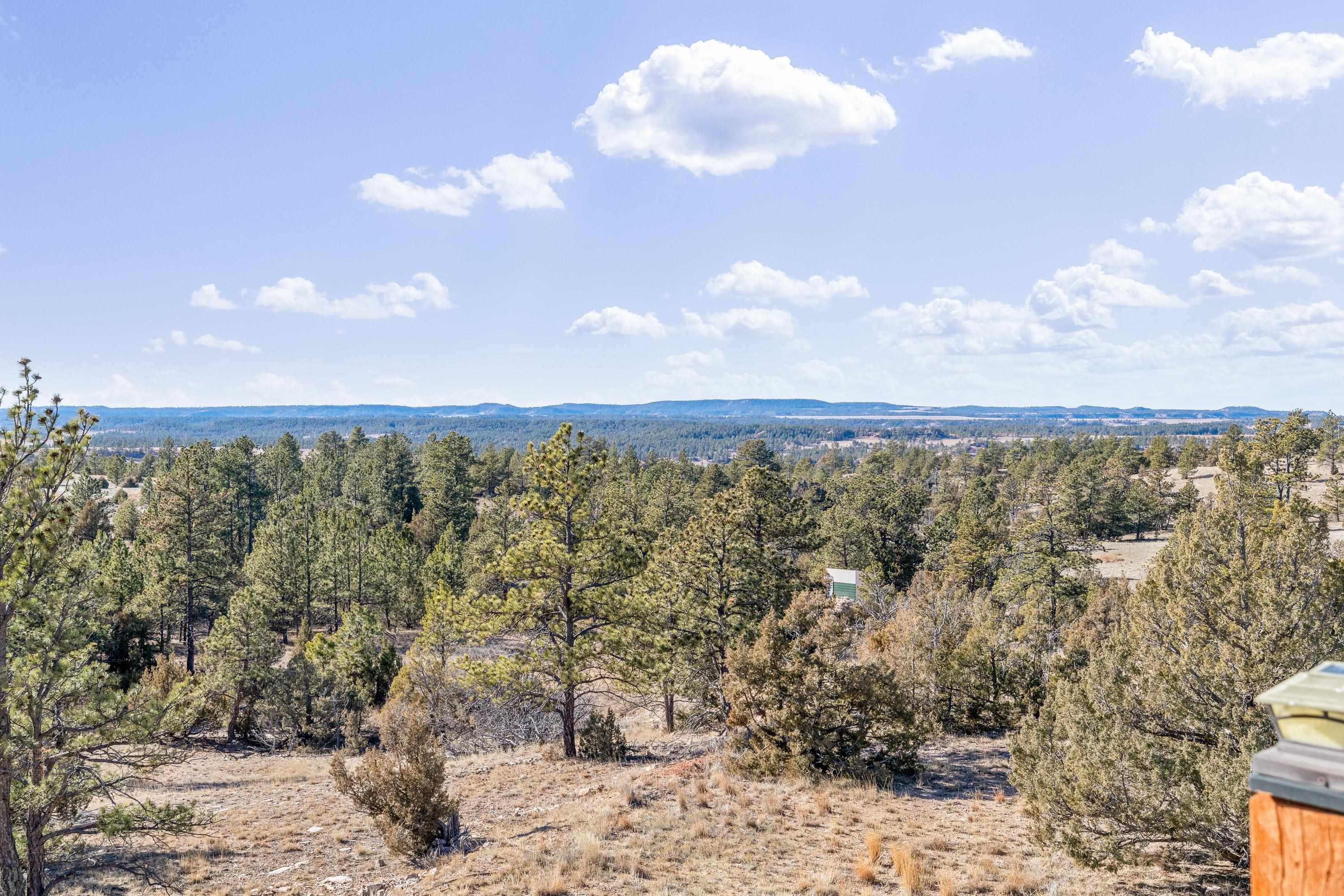 11431 Wrangler Lane