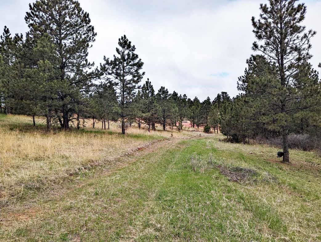 Lot 5 Argyle Ridge Ct.