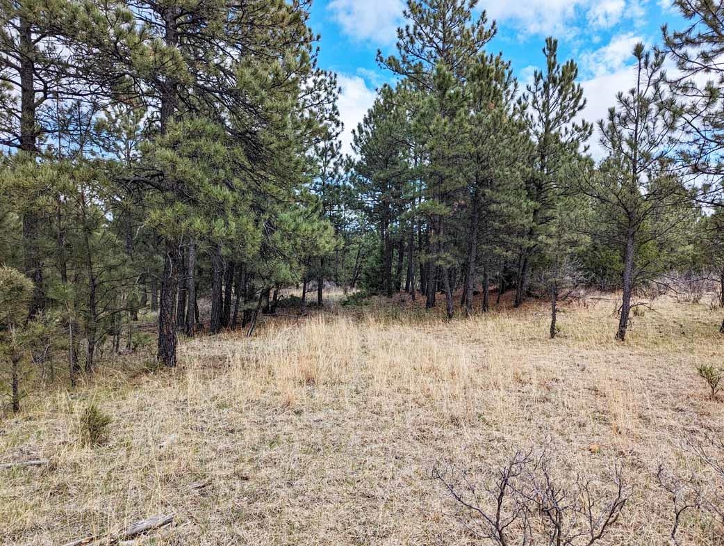 Lot 3 Argyle Ridge Ct.