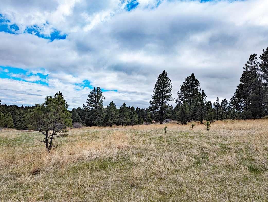 Lot 2 Argyle Ridge Ct.