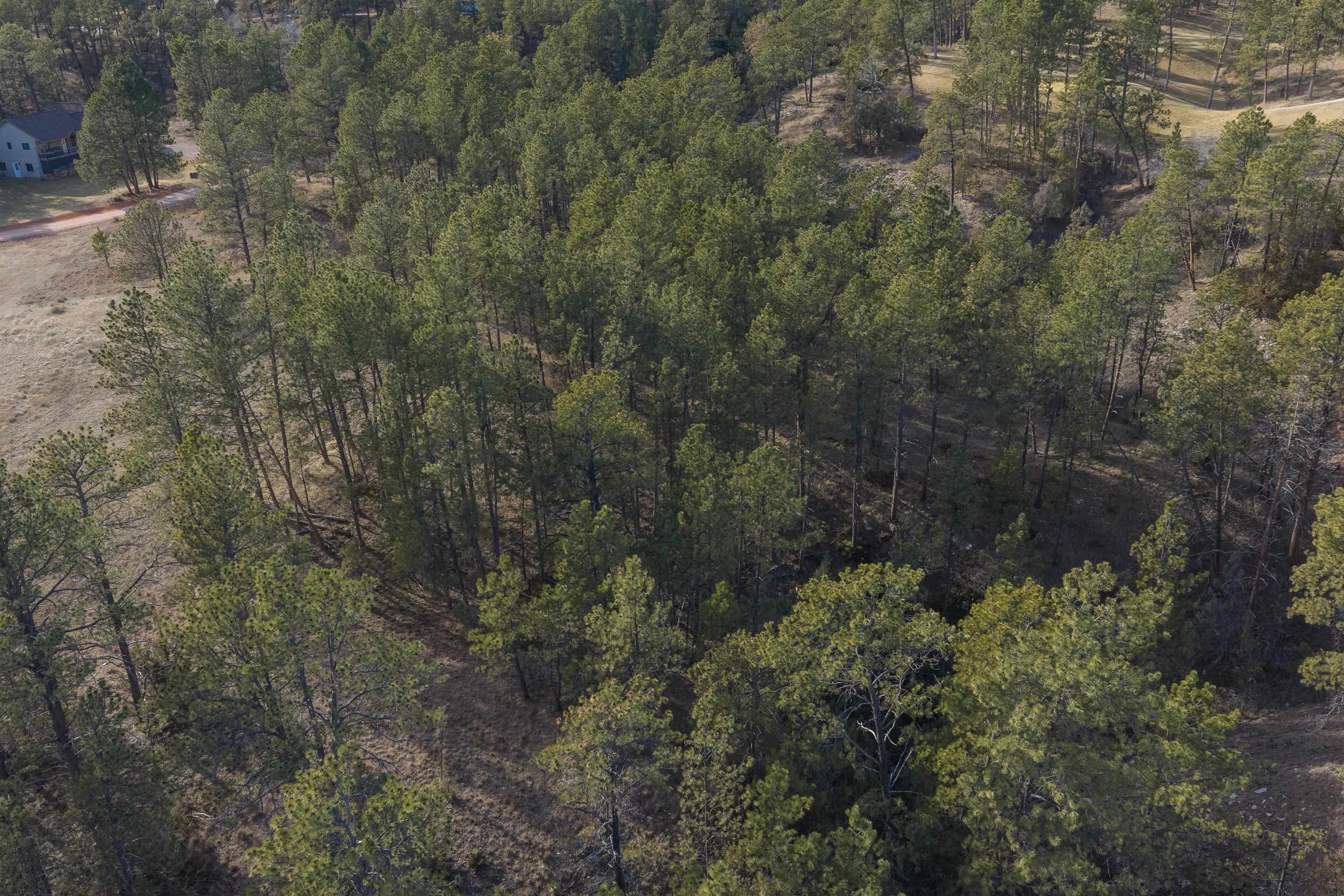 Lot GC-88 Sandpiper Drive