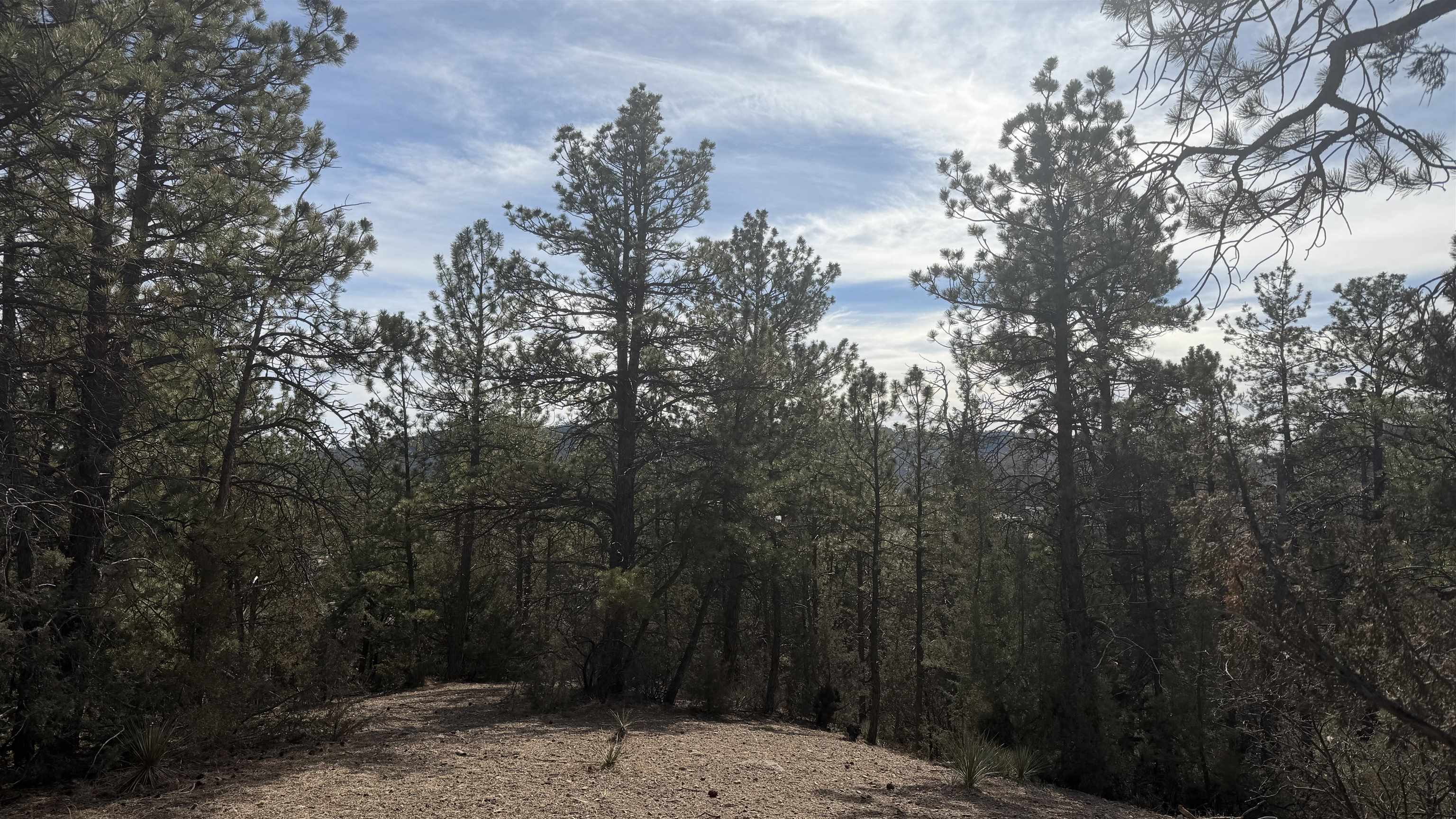 Lot 4R Doran Road