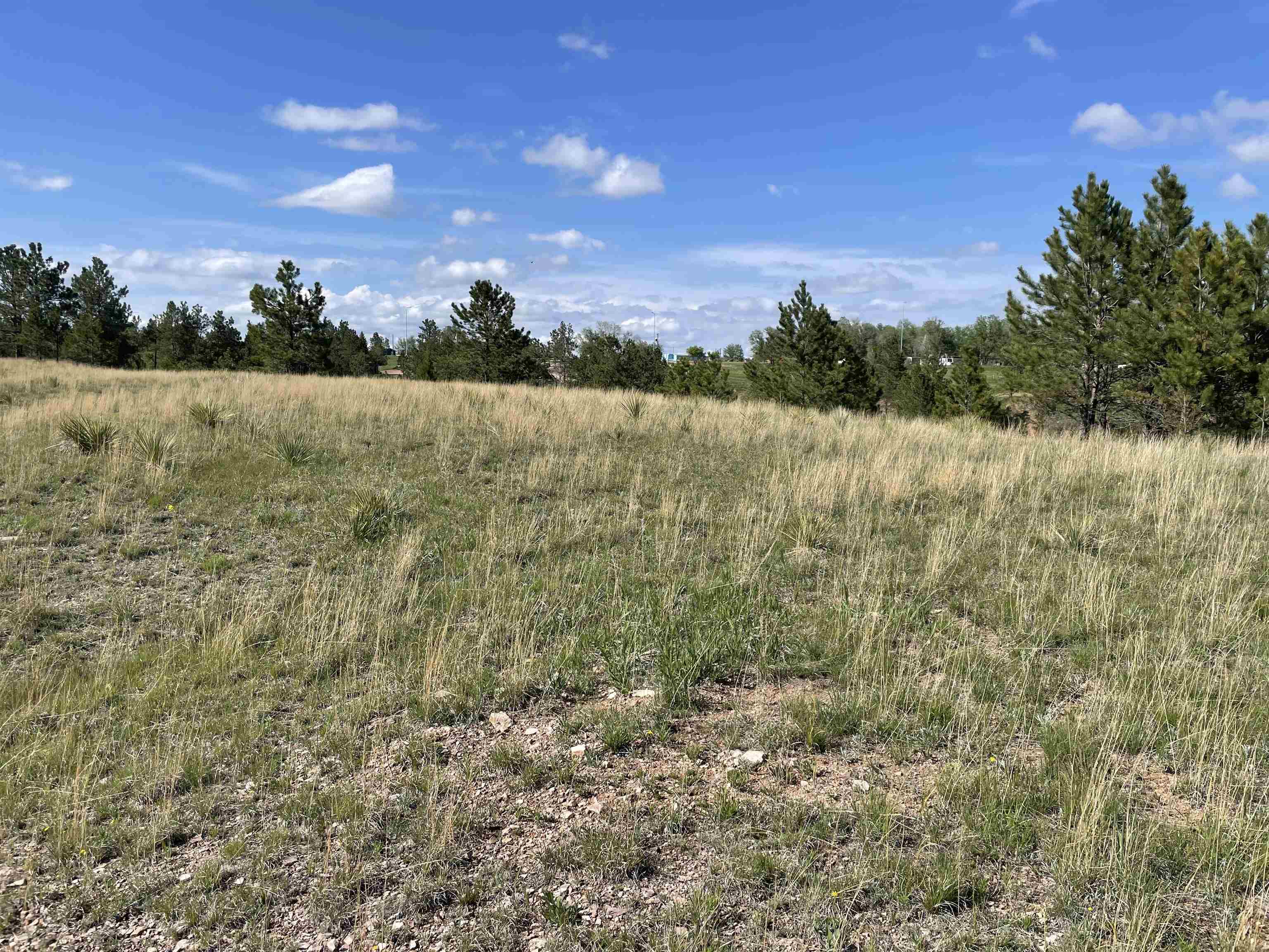 Lot 15A