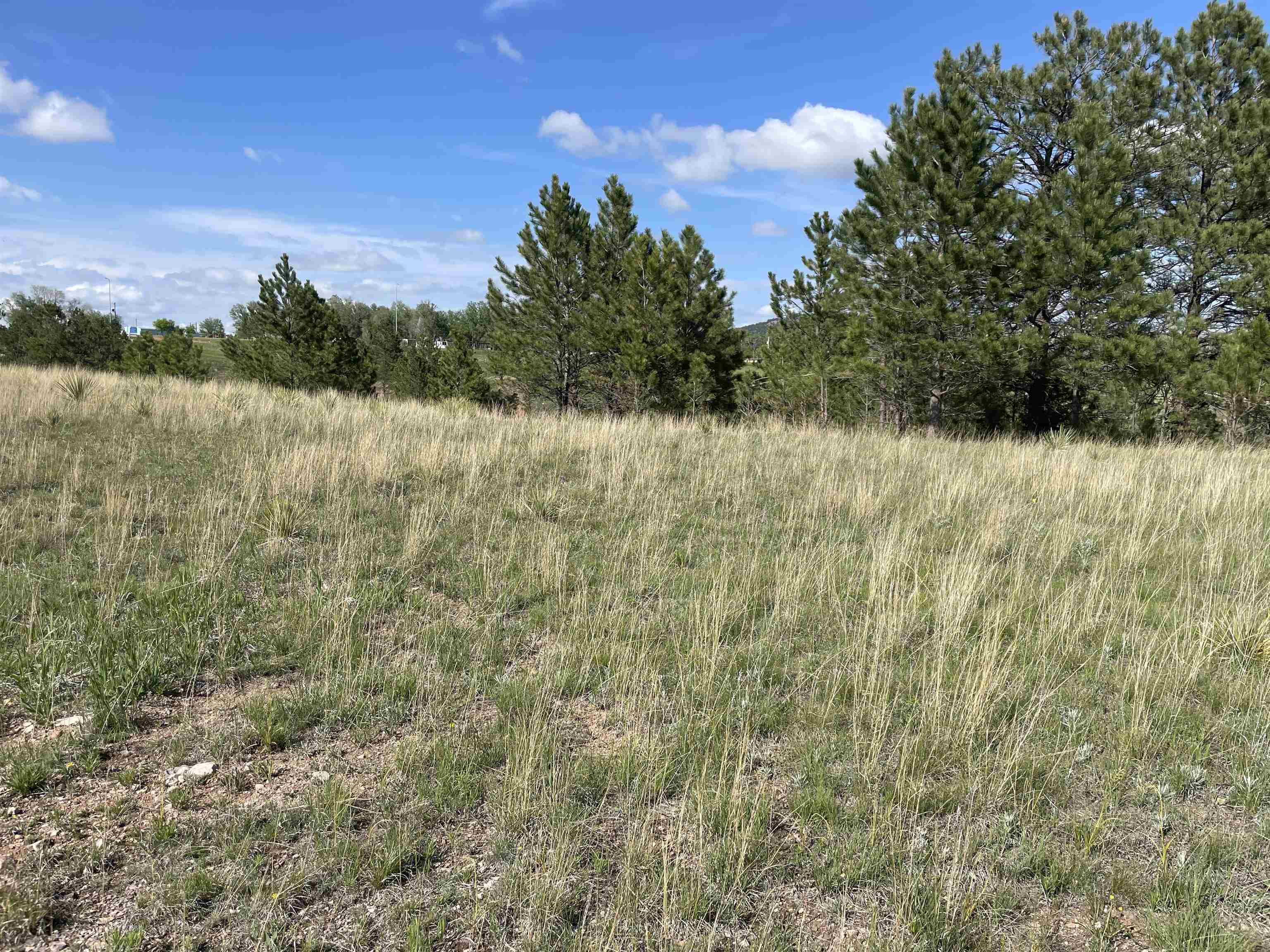 Lot 15A