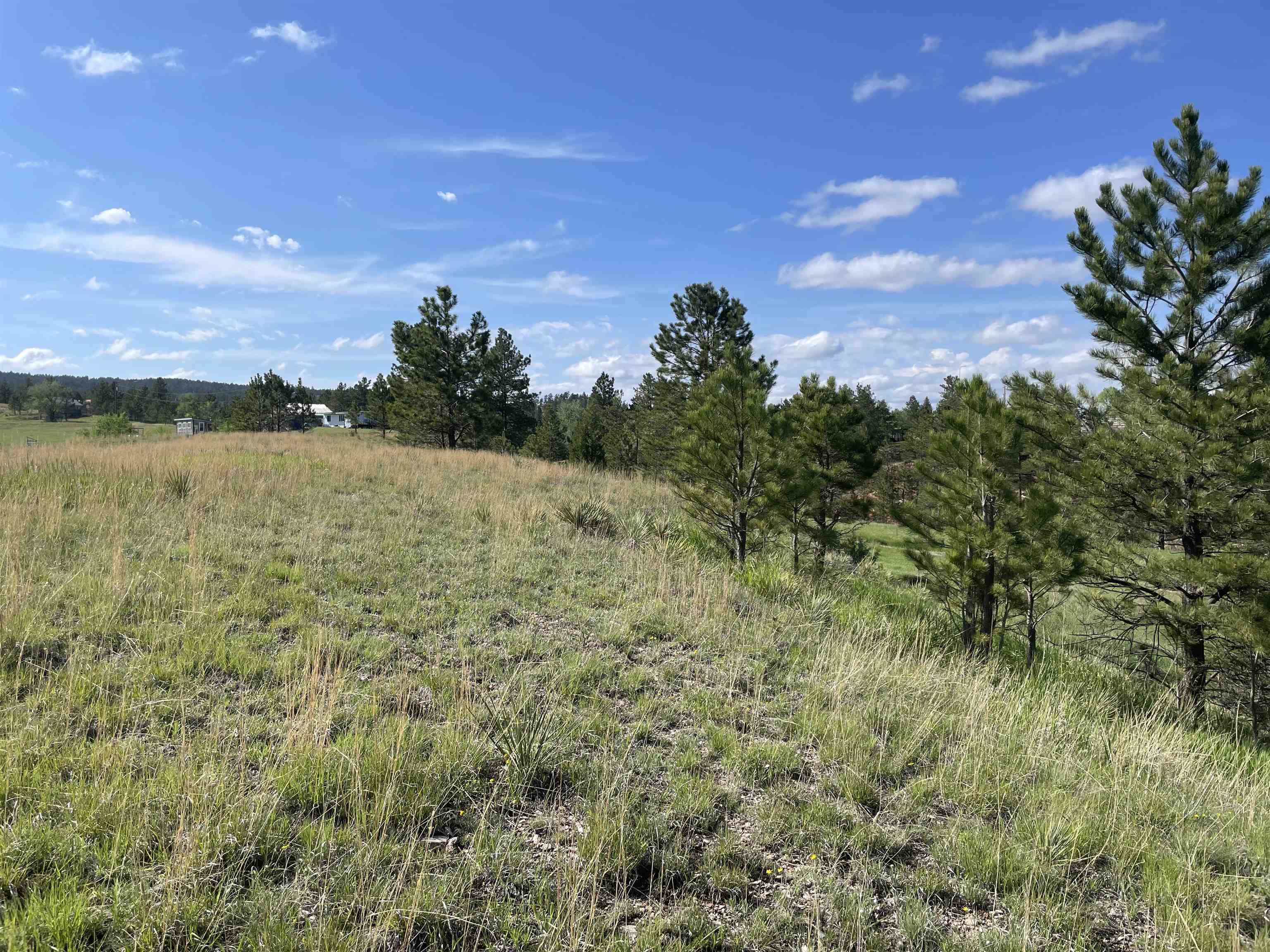 Lot 15A