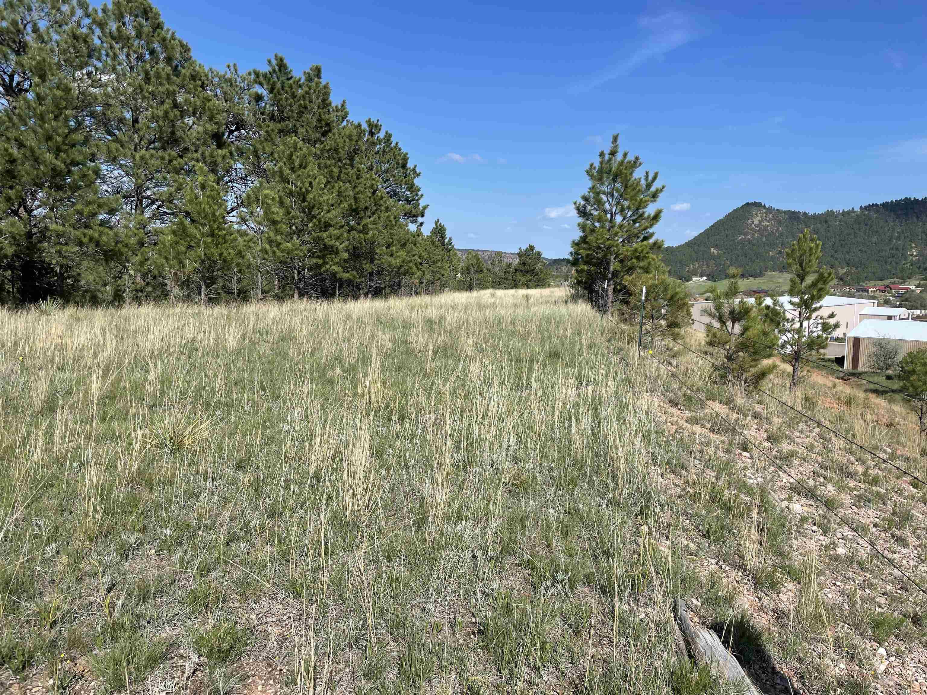 Lot 15A