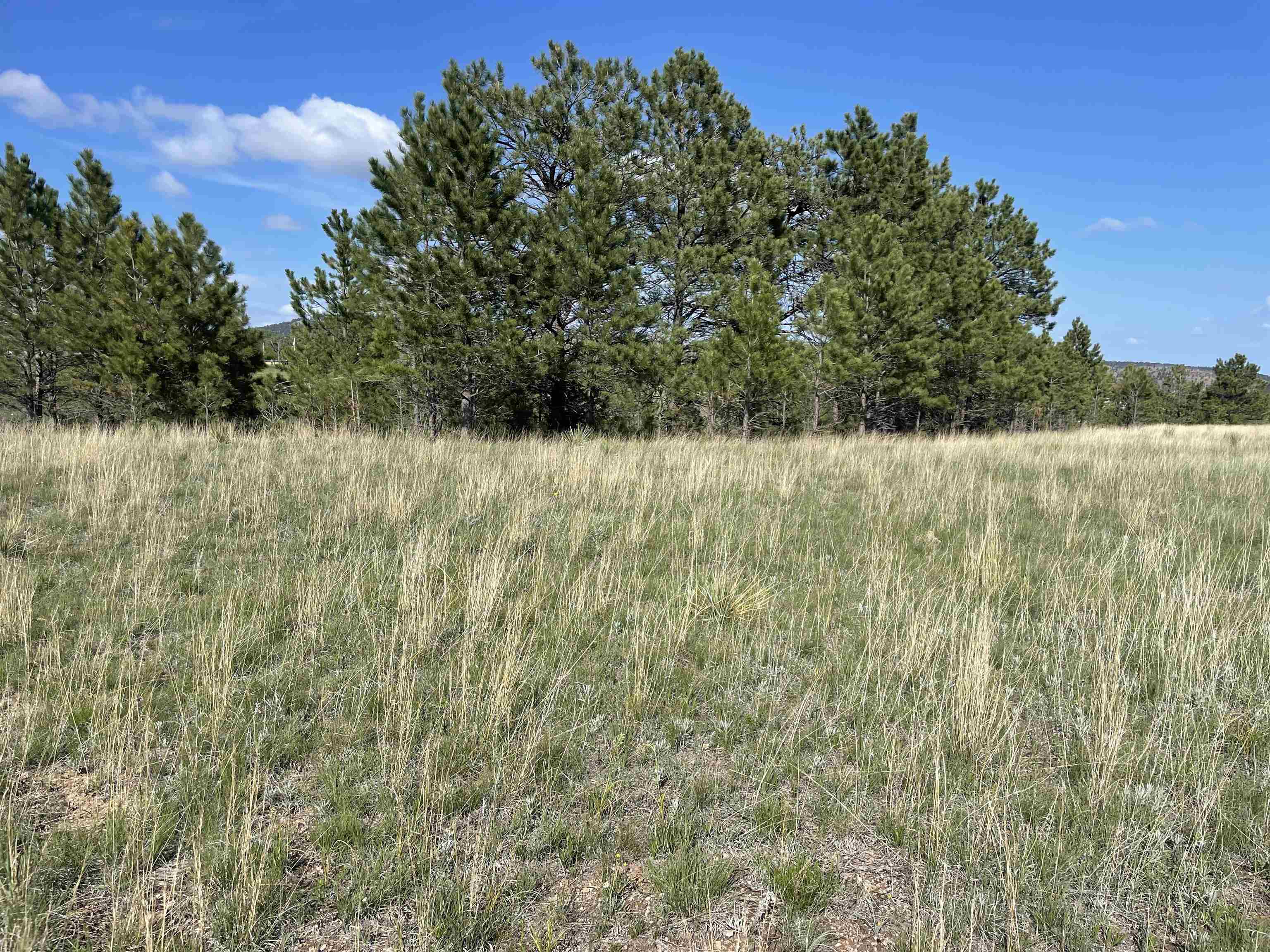 Lot 15A