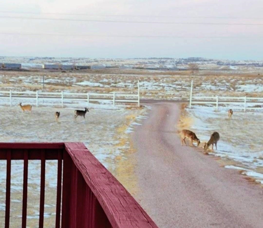 28534 Old Highway 18