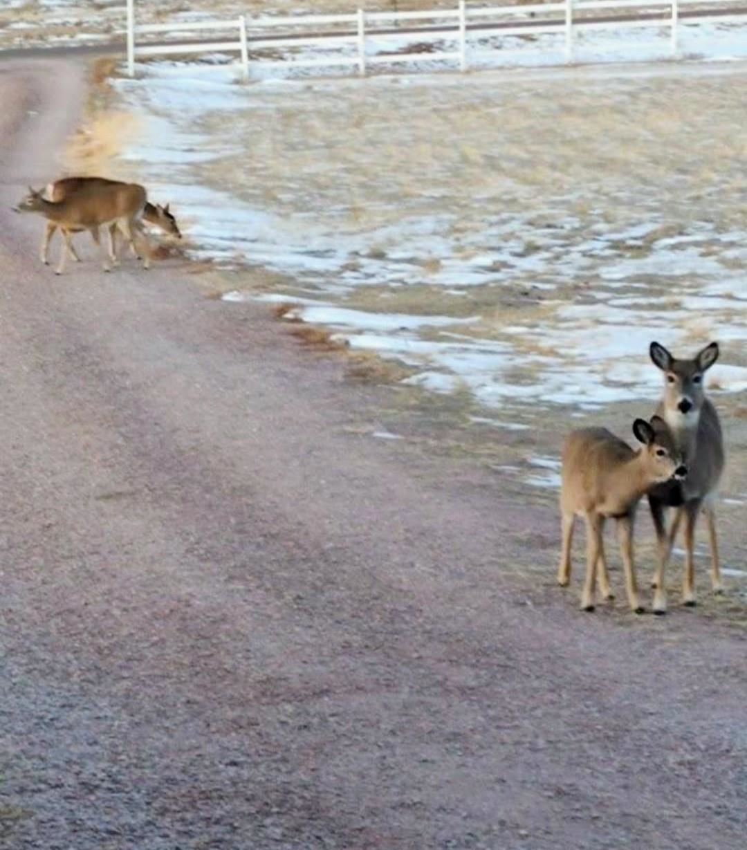 28534 Old Highway 18