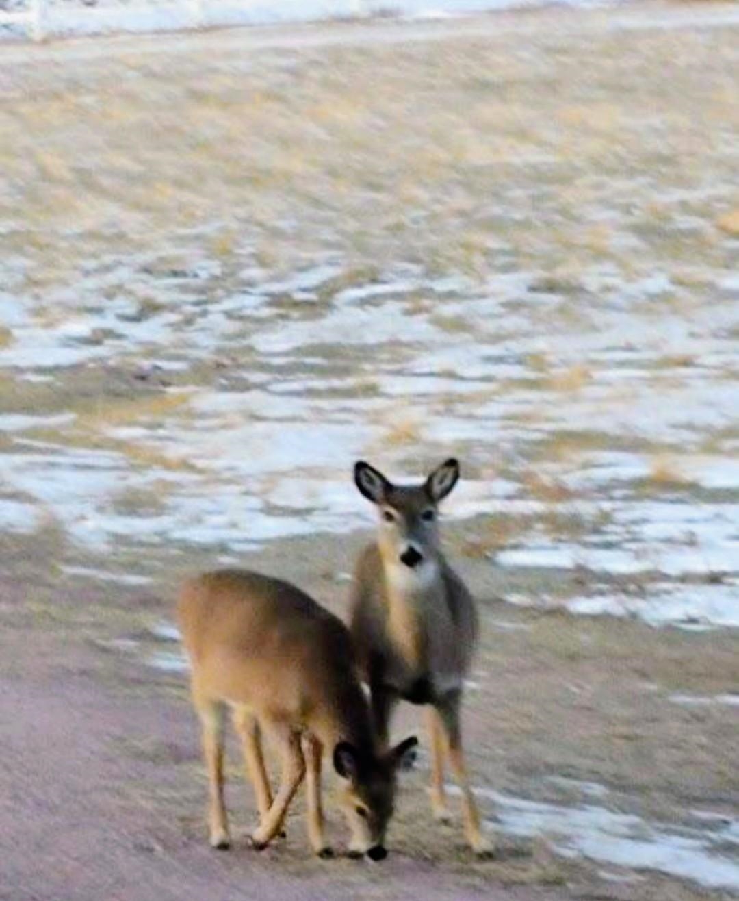 28534 Old Highway 18