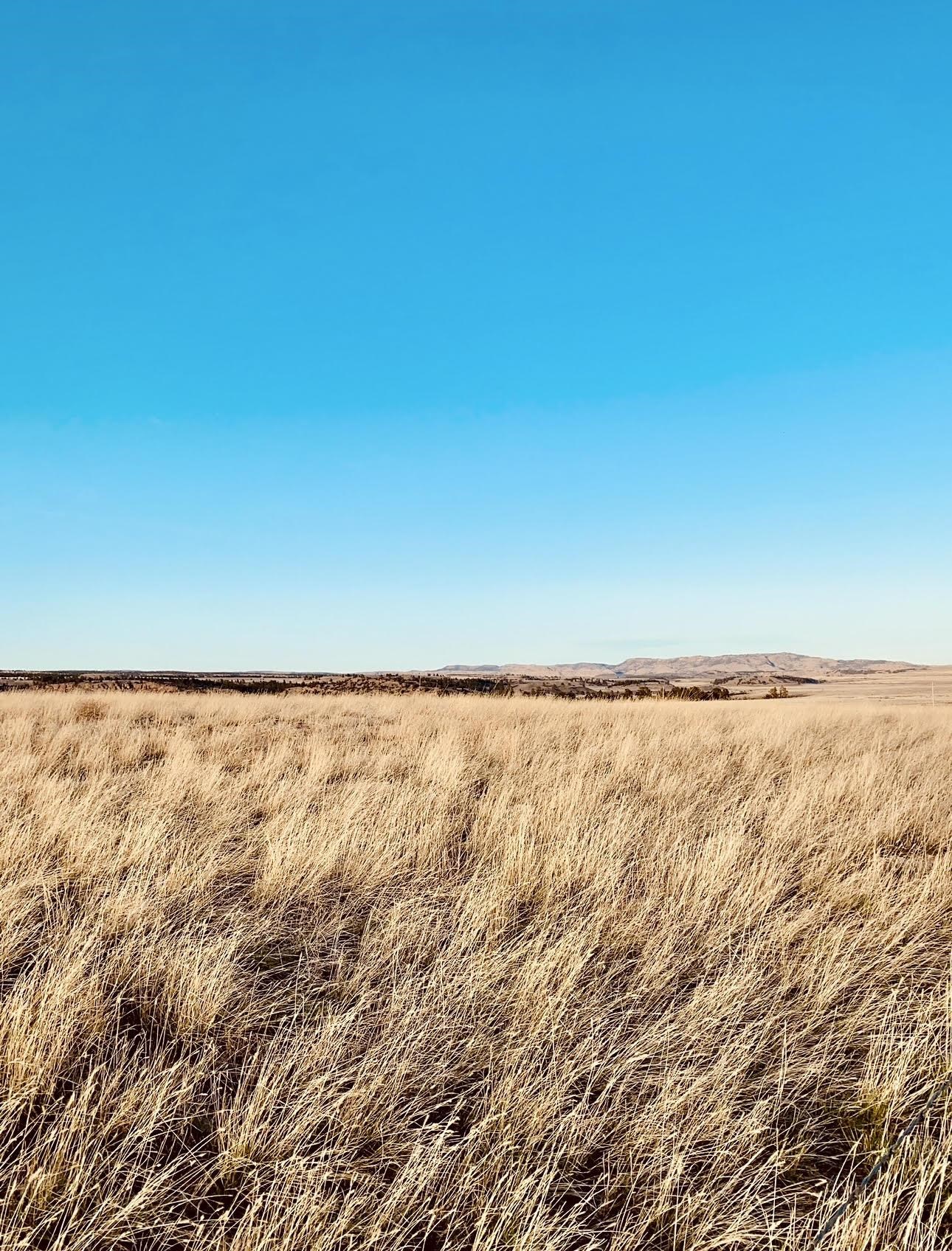 11864 Indian Canyon Road