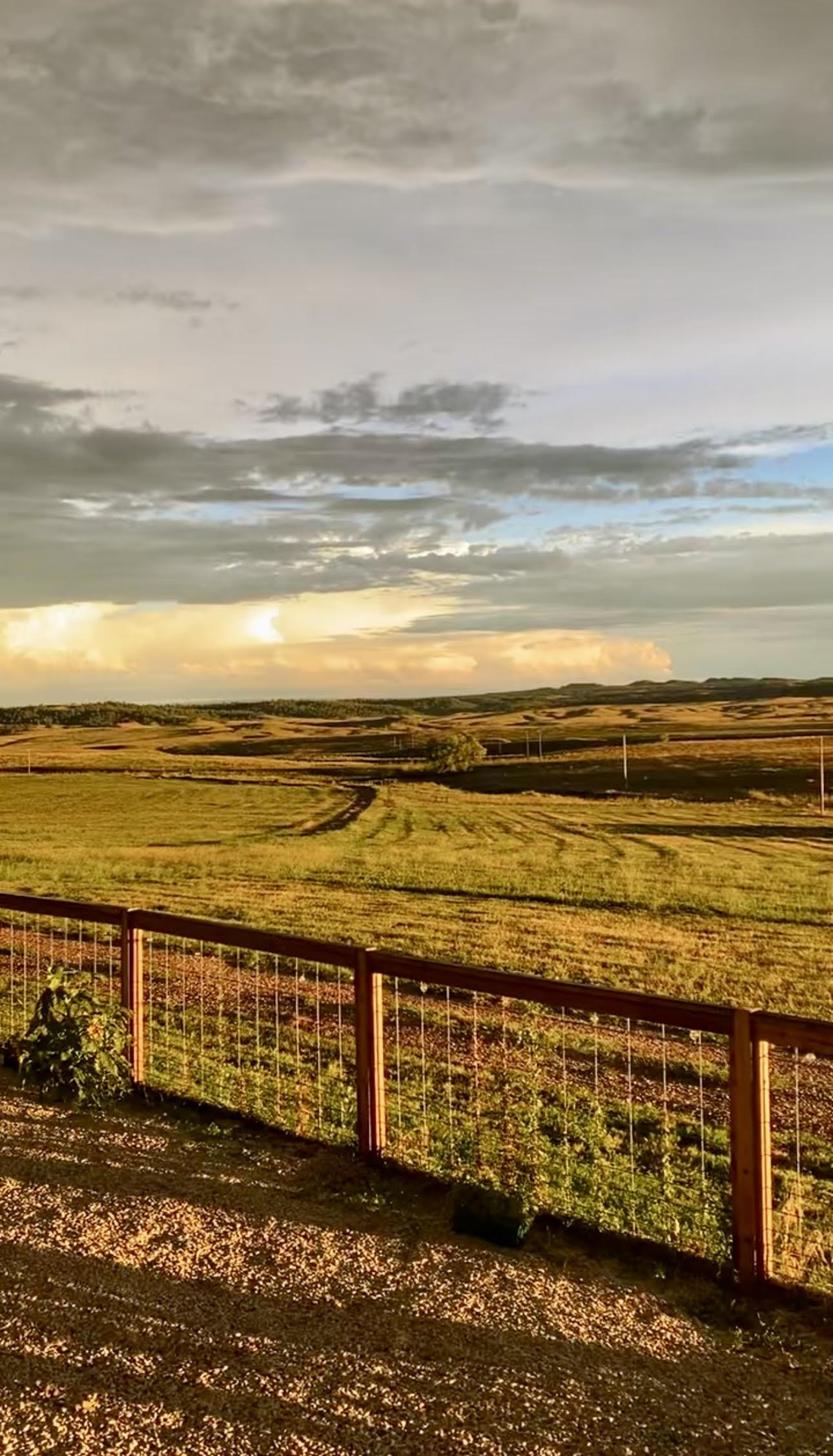 11864 Indian Canyon Road