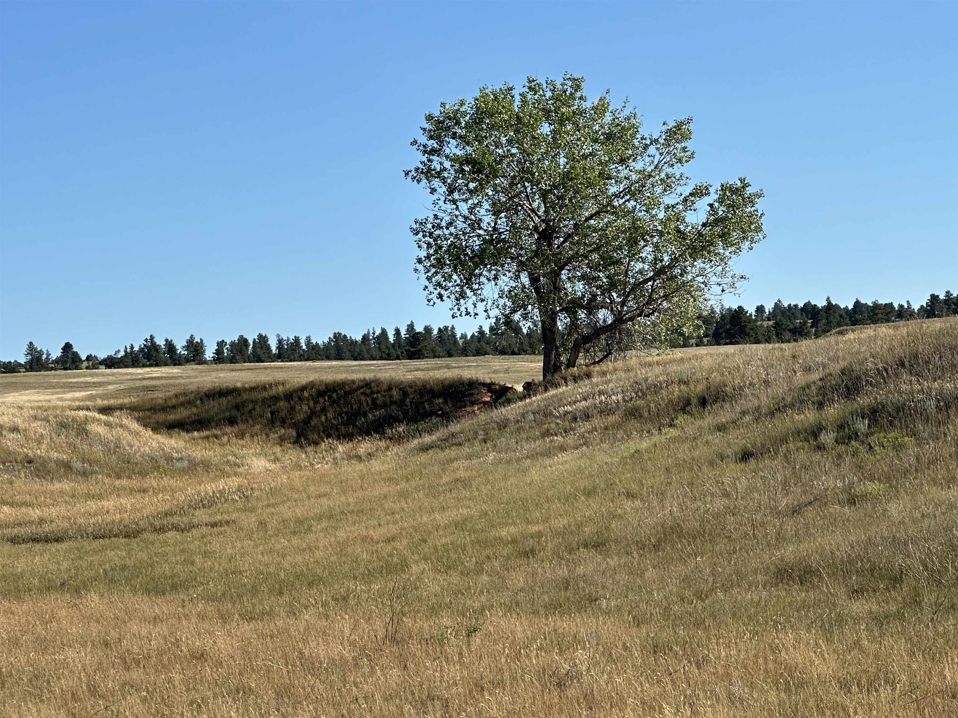 TBD Valley Road