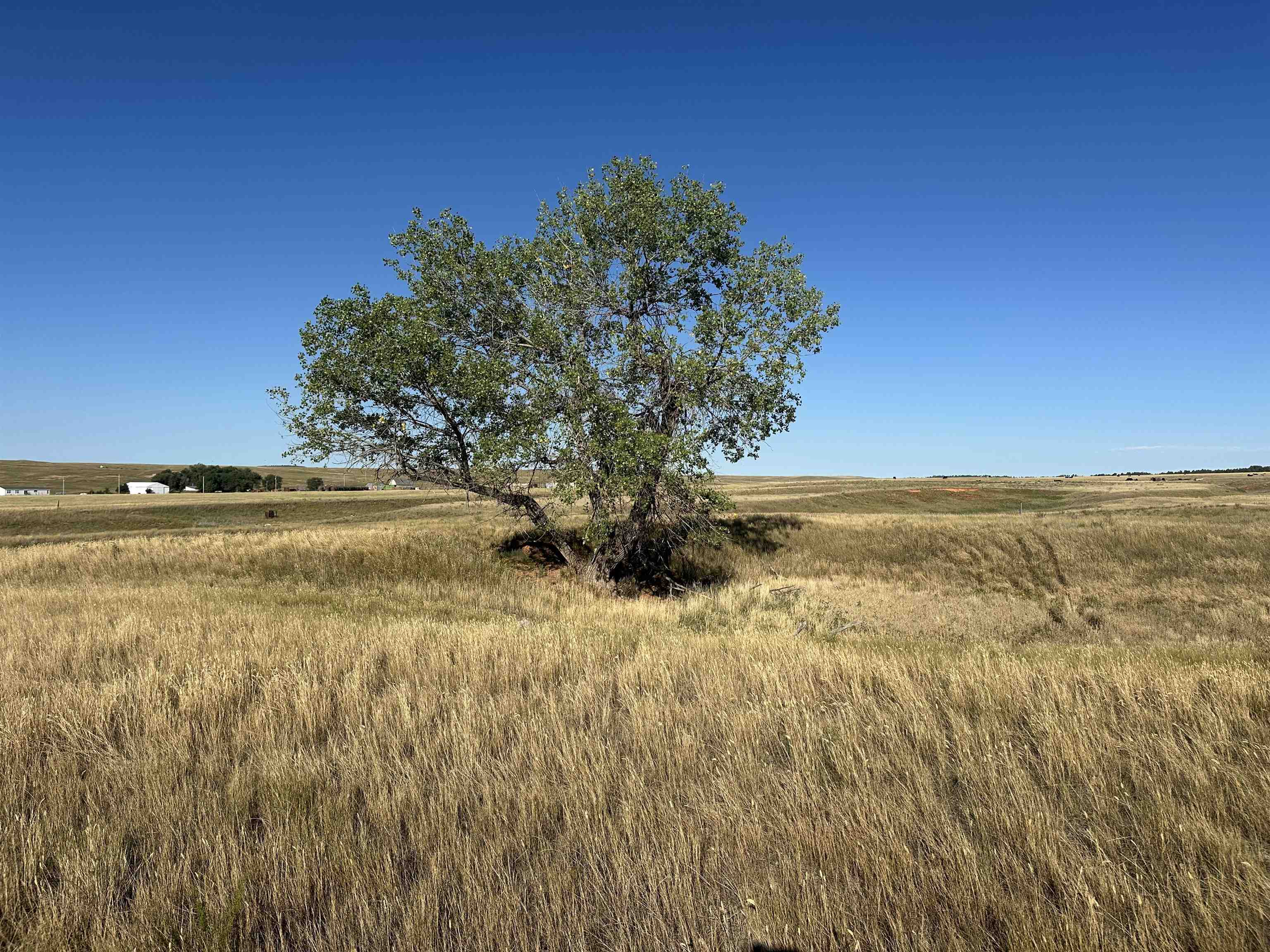 TBD Valley Road
