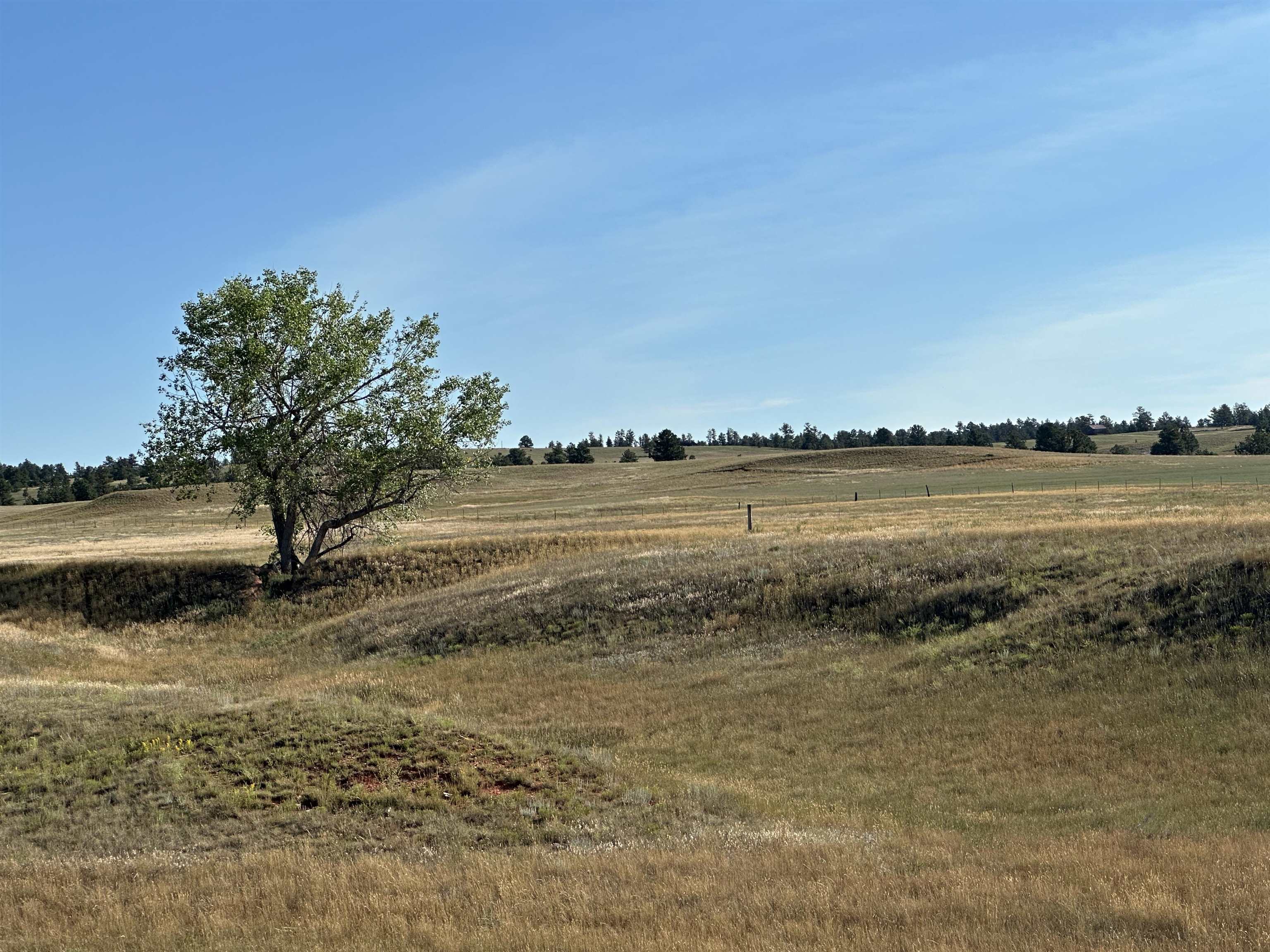 TBD Valley Road