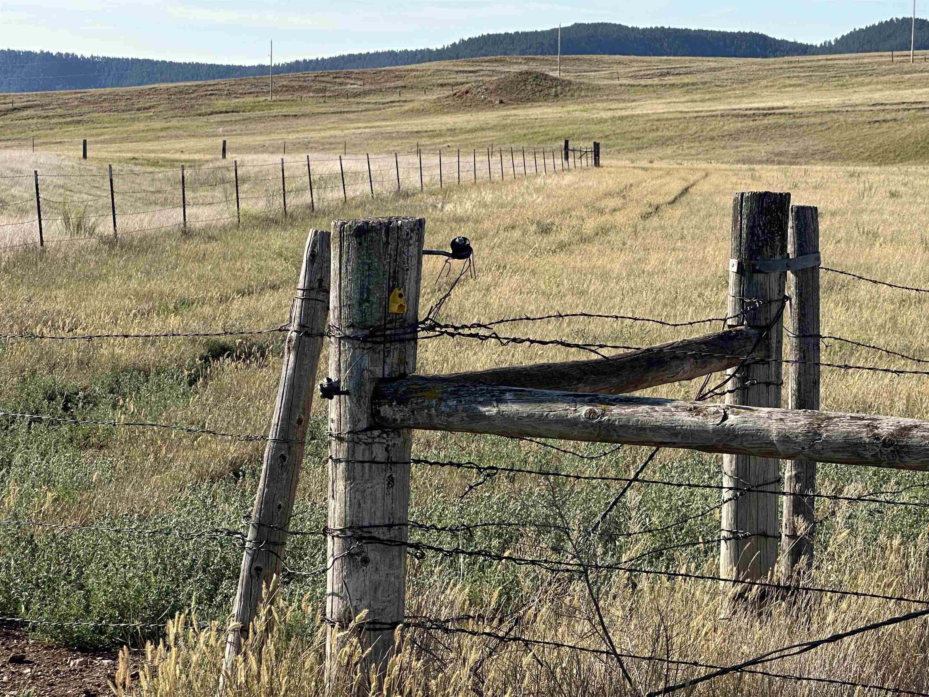 TBD Valley Road