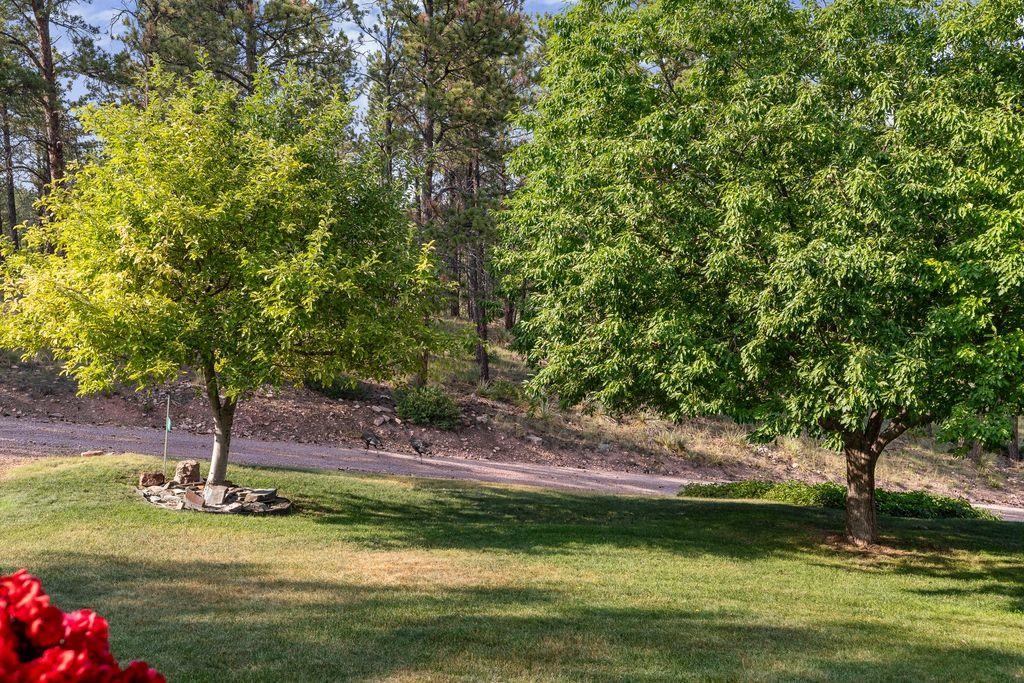 12741 Country Road