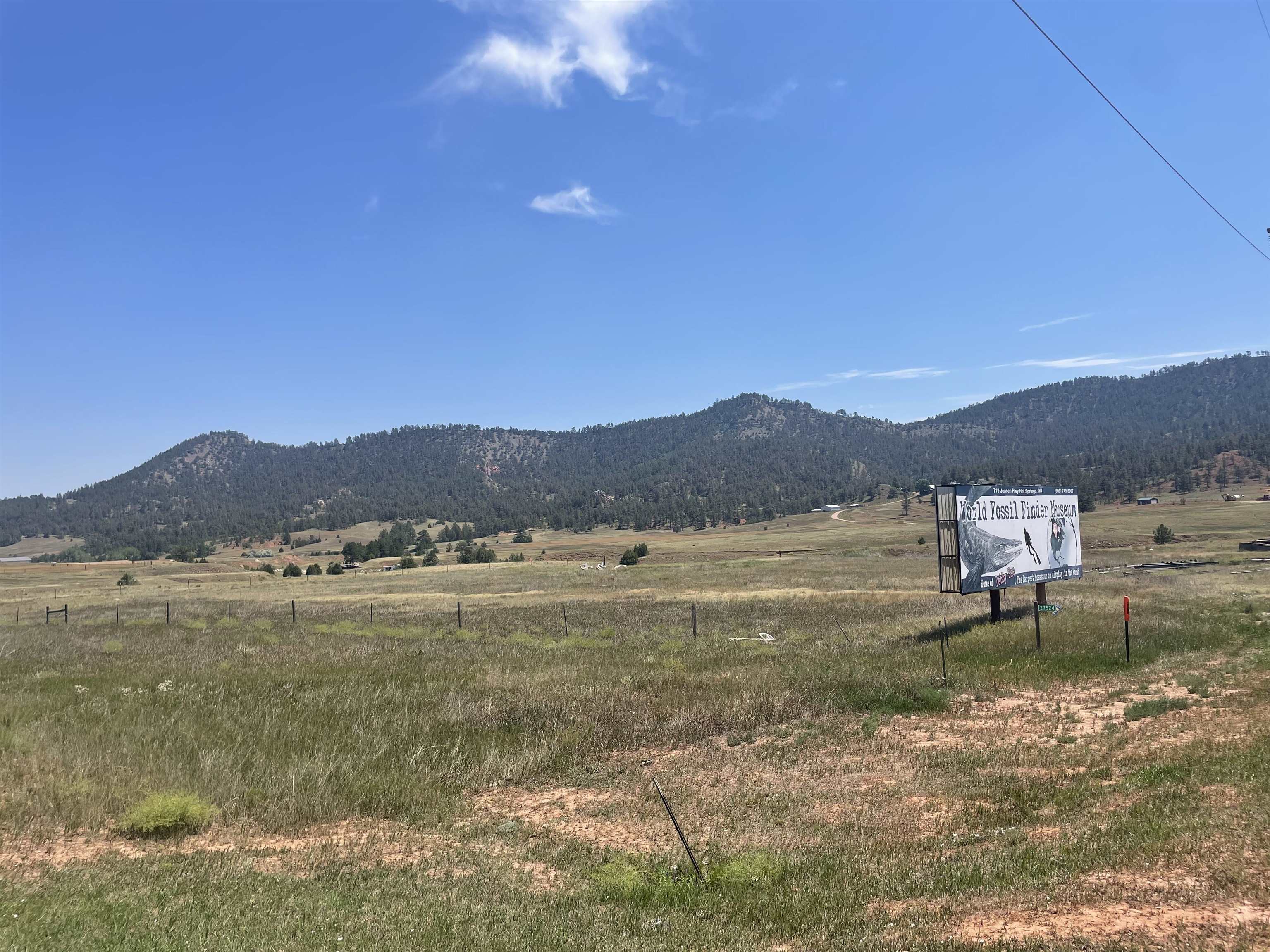 27524 Sunflower Trail