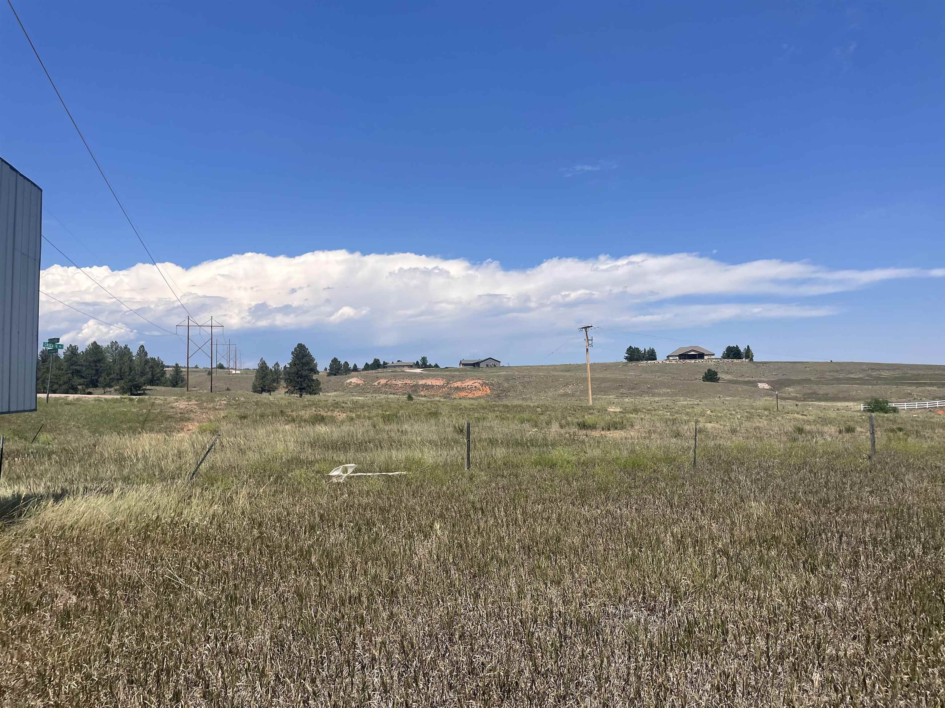 27524 Sunflower Trail