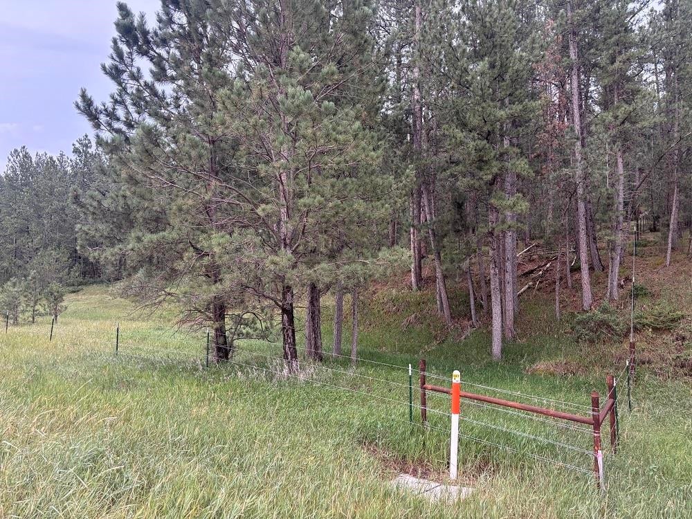 Tract 34 Mountain Lion Lane
