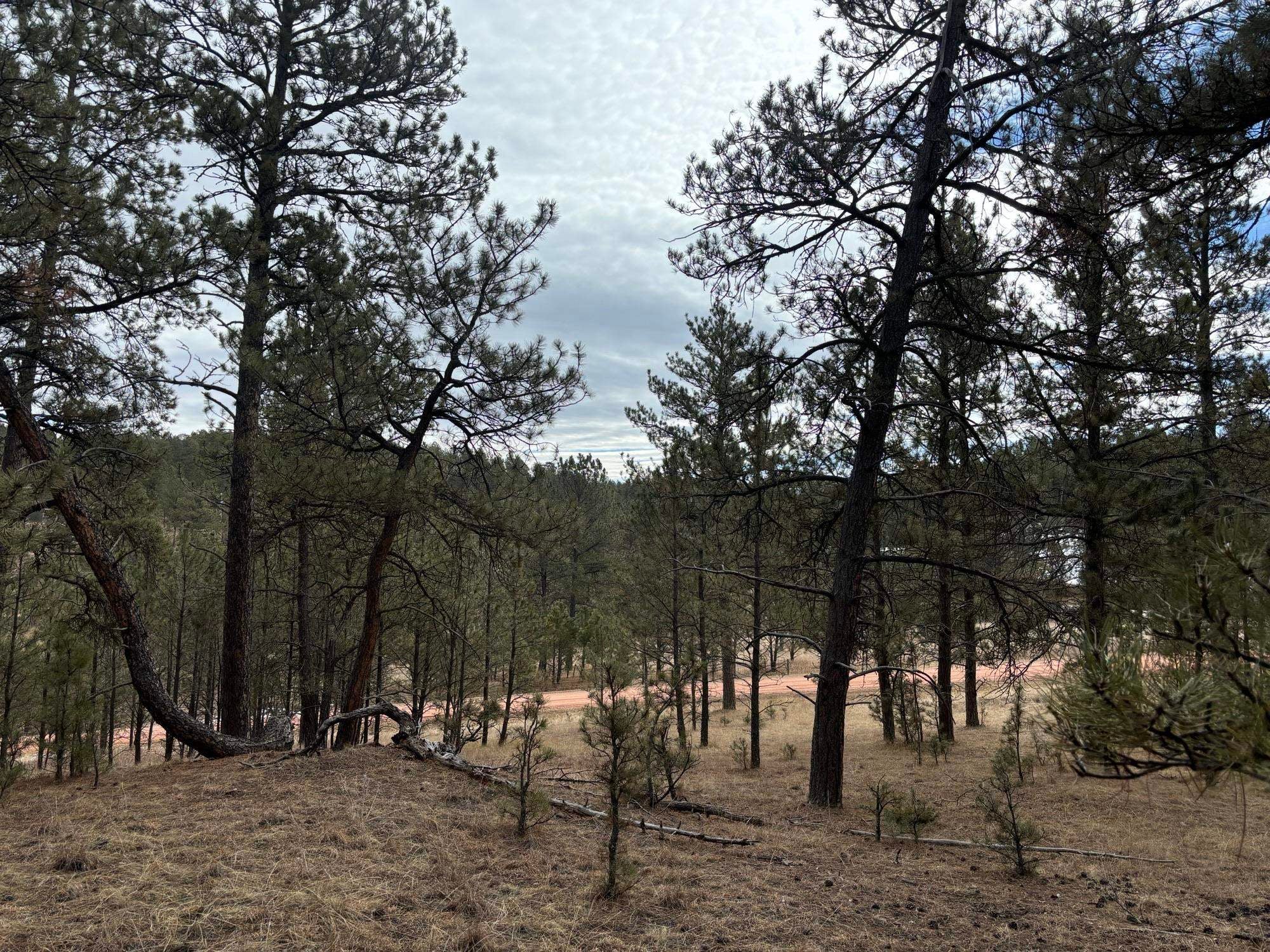 Tract 34 Mountain Lion Lane
