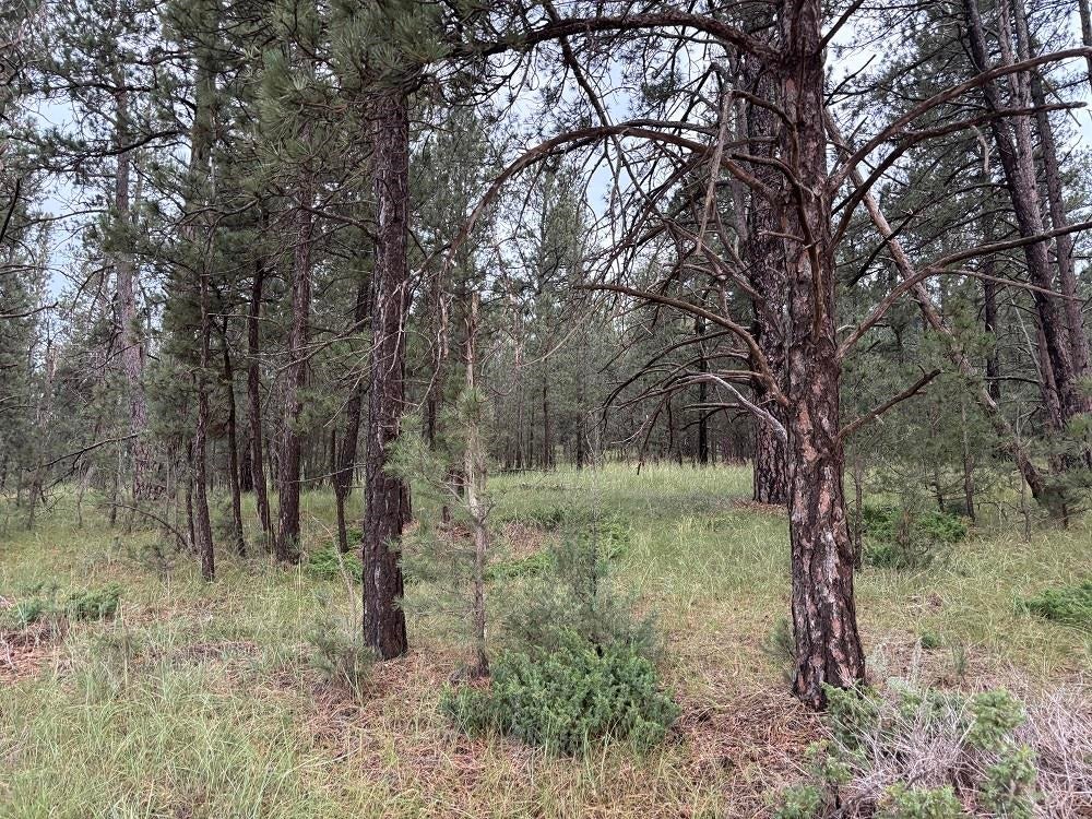 Tract 34 Mountain Lion Lane