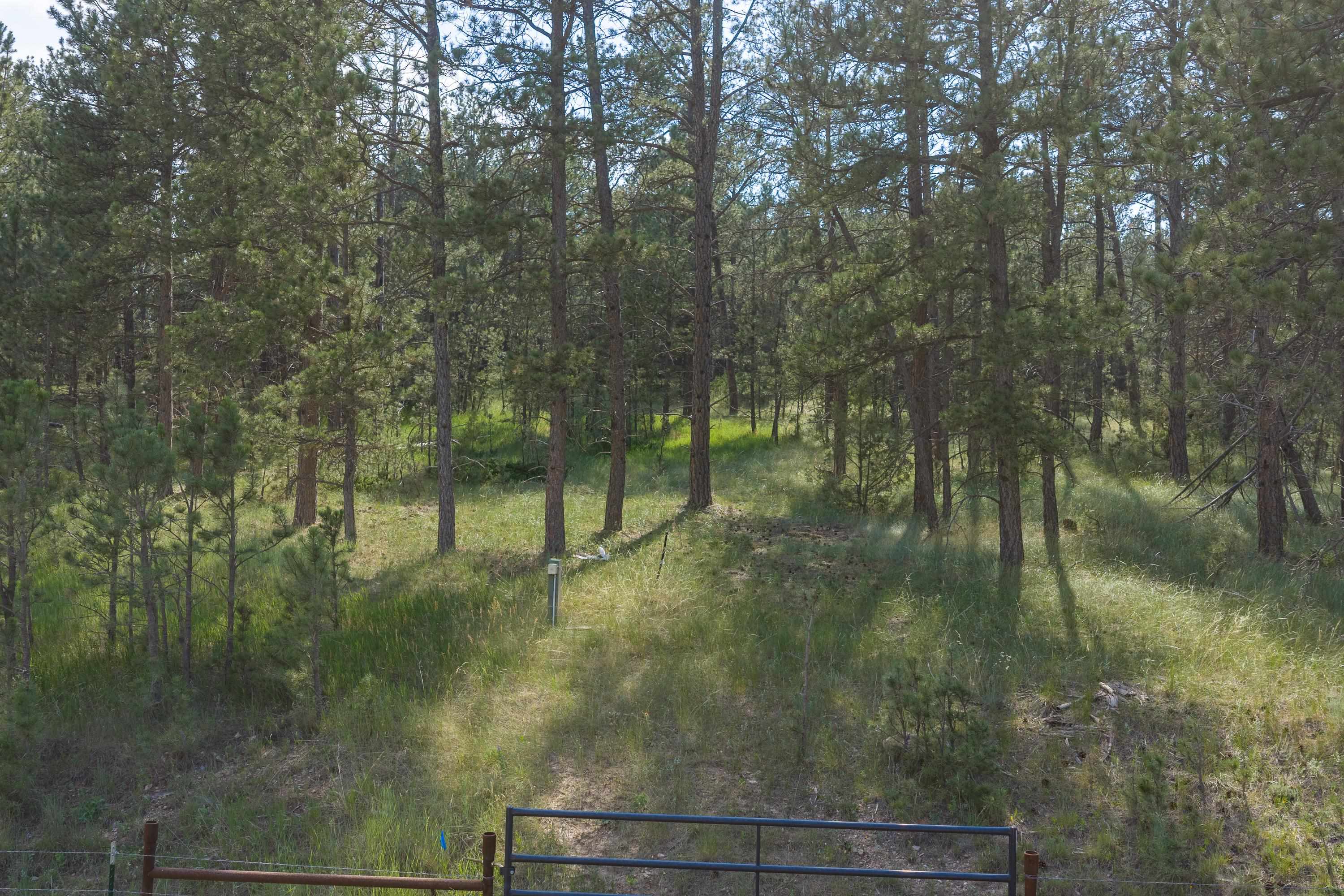 Tract 34 Mountain Lion Lane