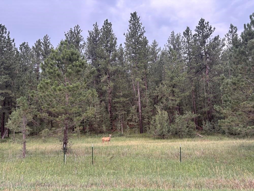 Tract 34 Mountain Lion Lane
