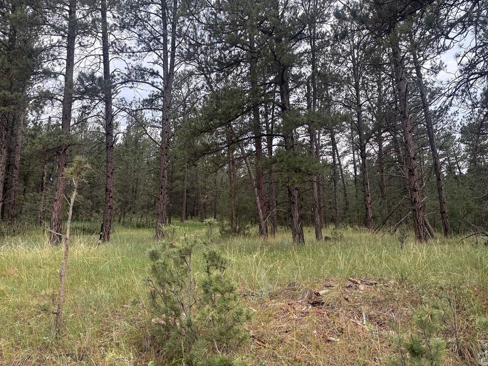 Tract 34 Mountain Lion Lane