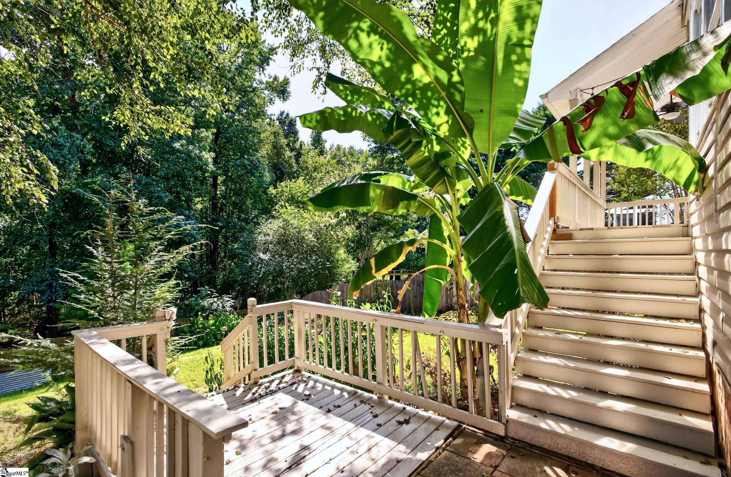 222 Grimes Drive