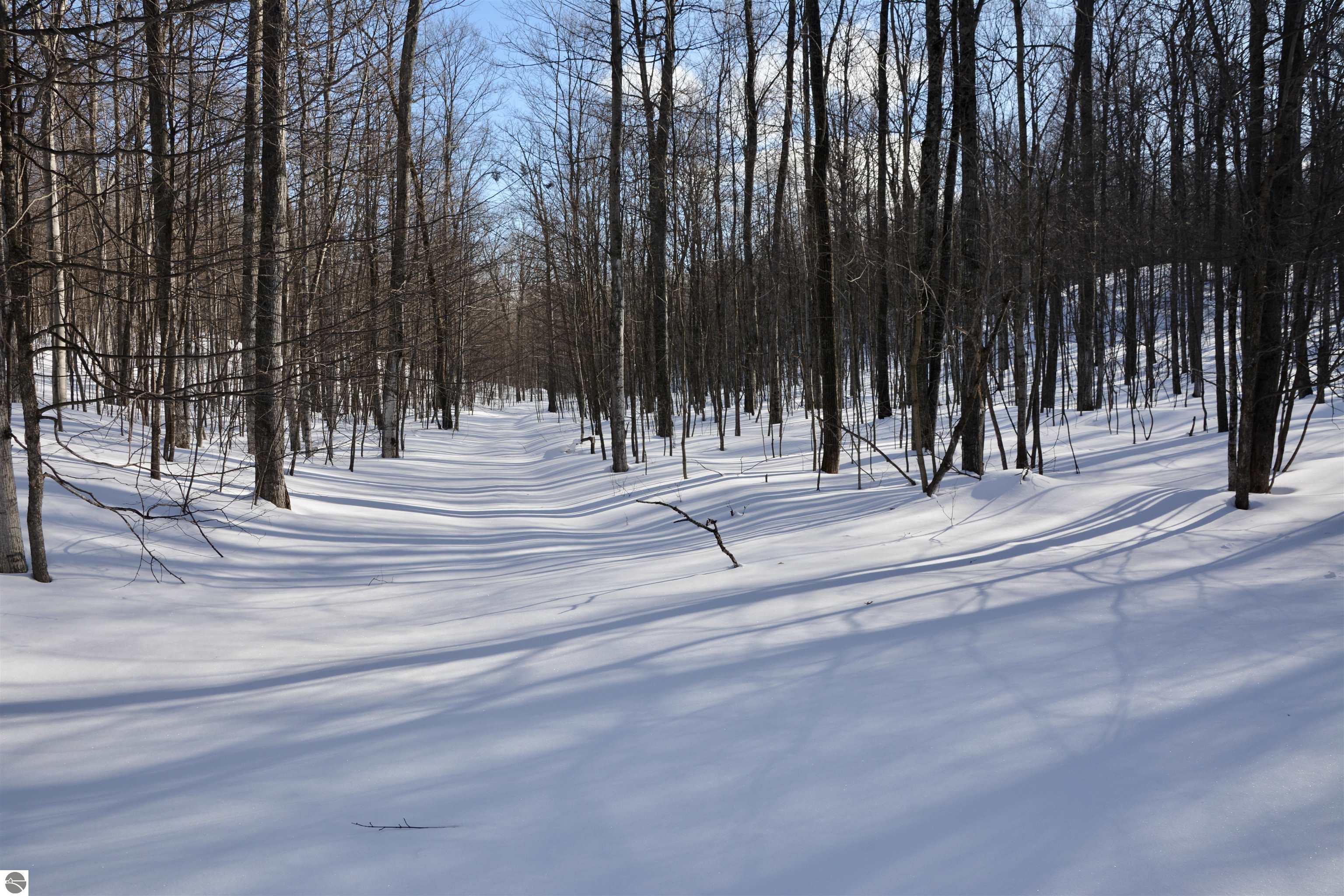 0 S Schomberg Road