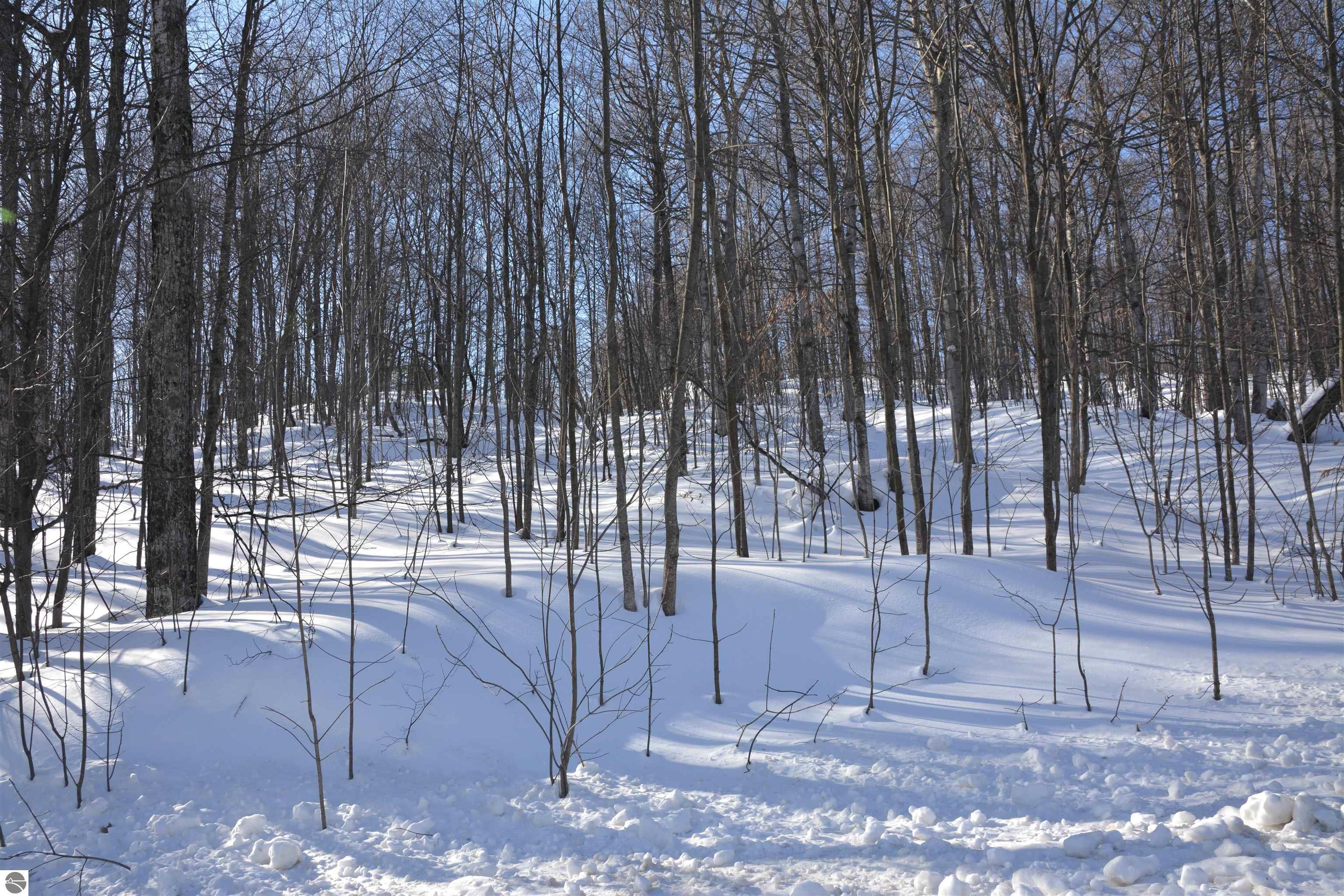 0 S Schomberg Road