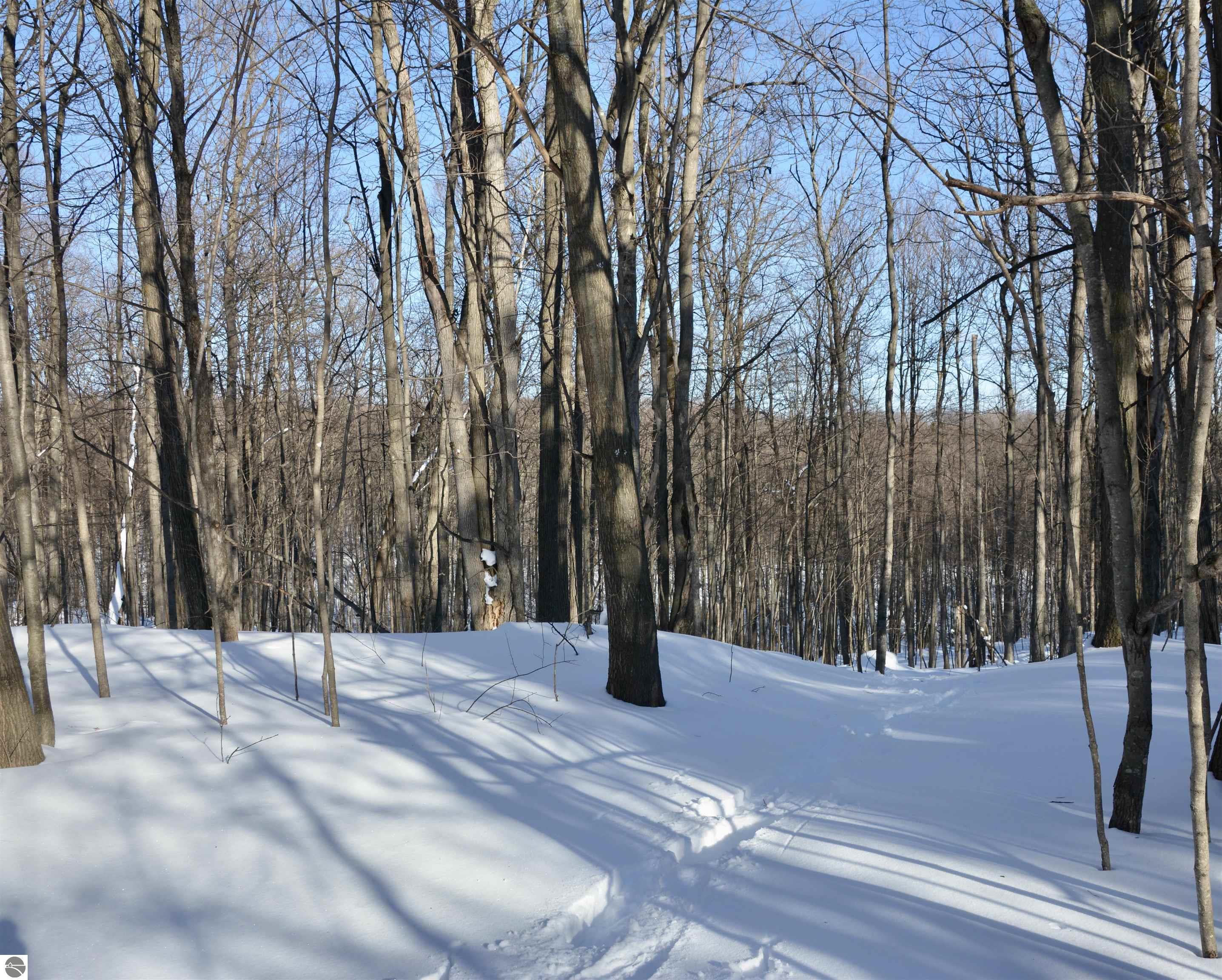 0 S Schomberg Road