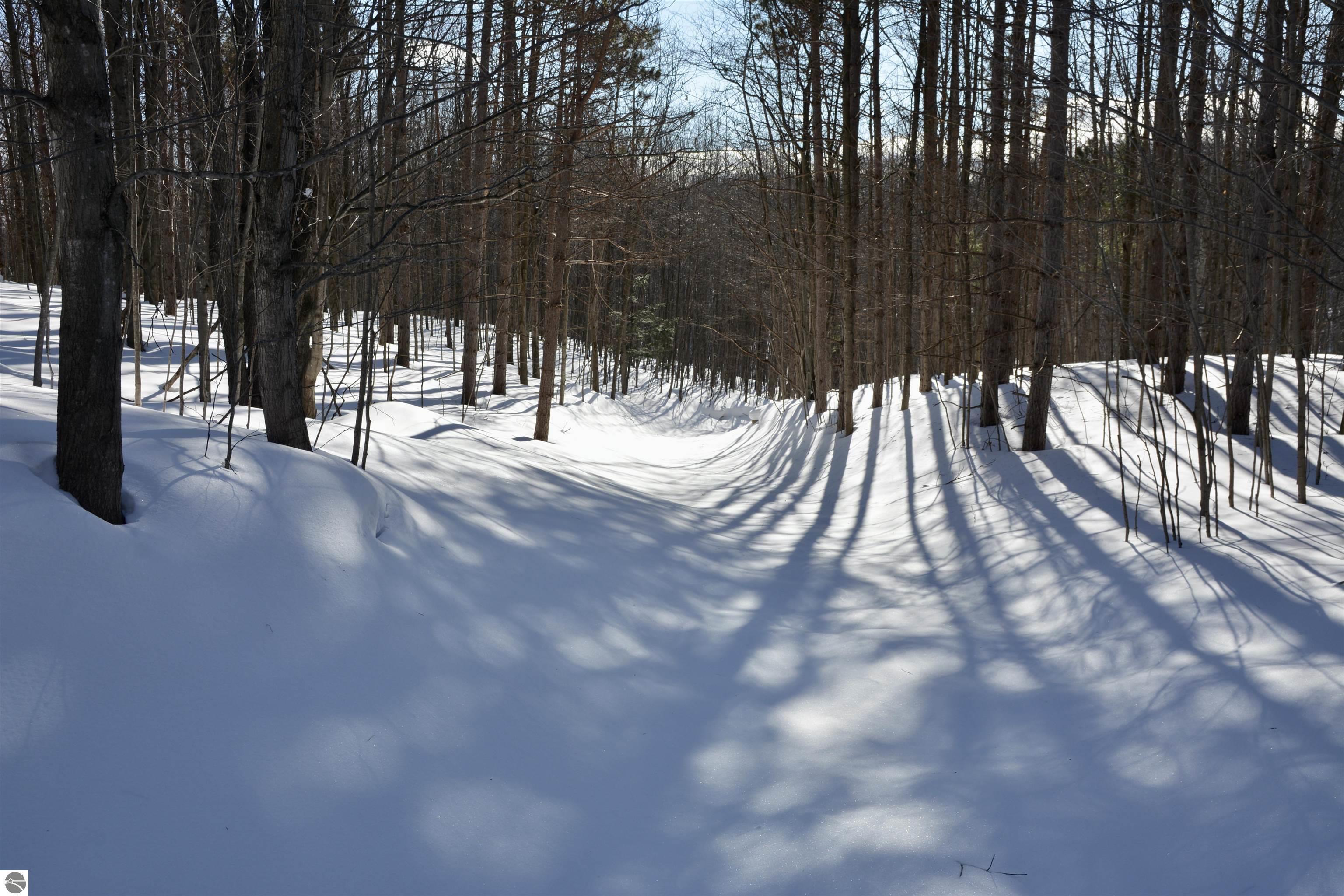 0 S Schomberg Road