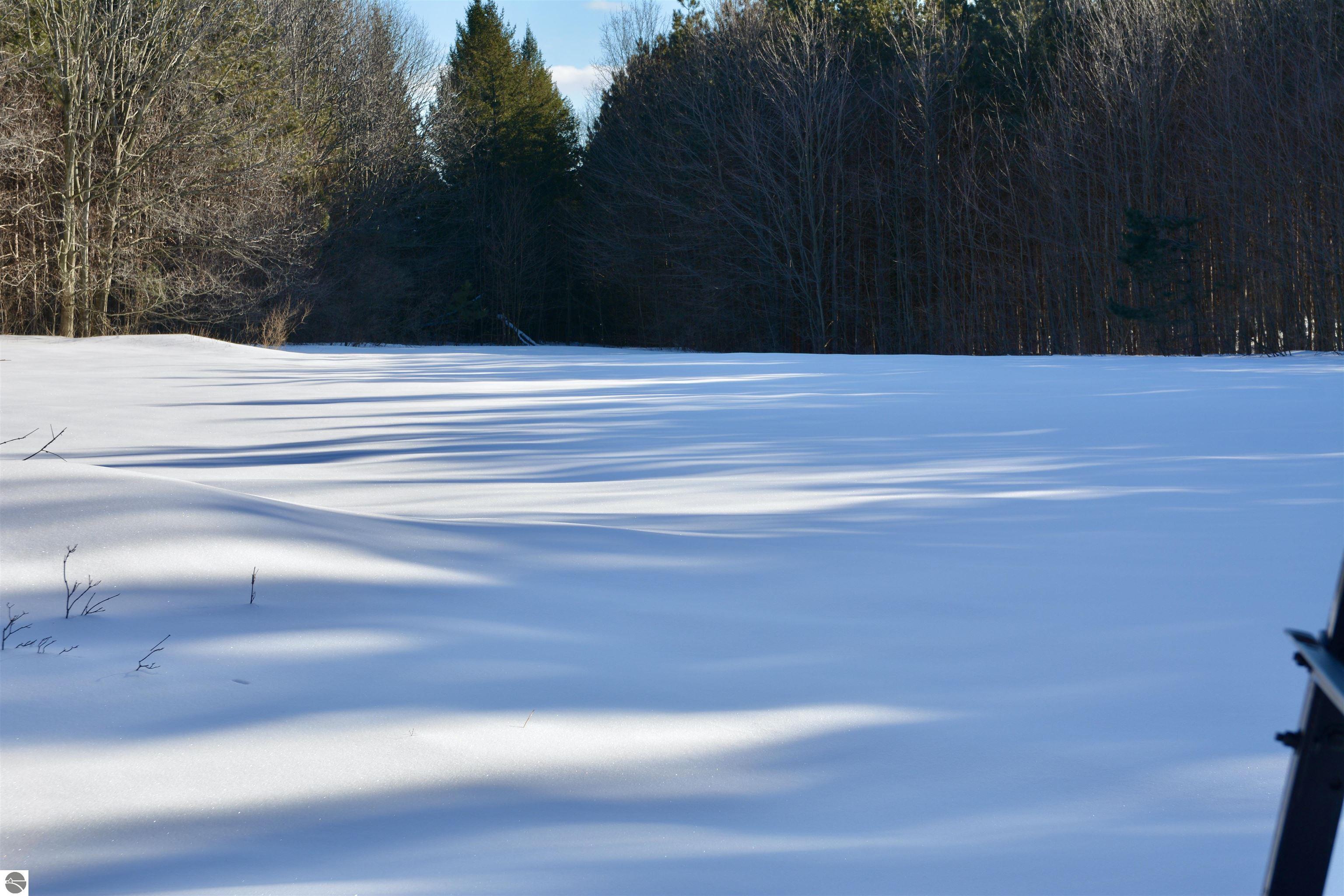 0 S Schomberg Road
