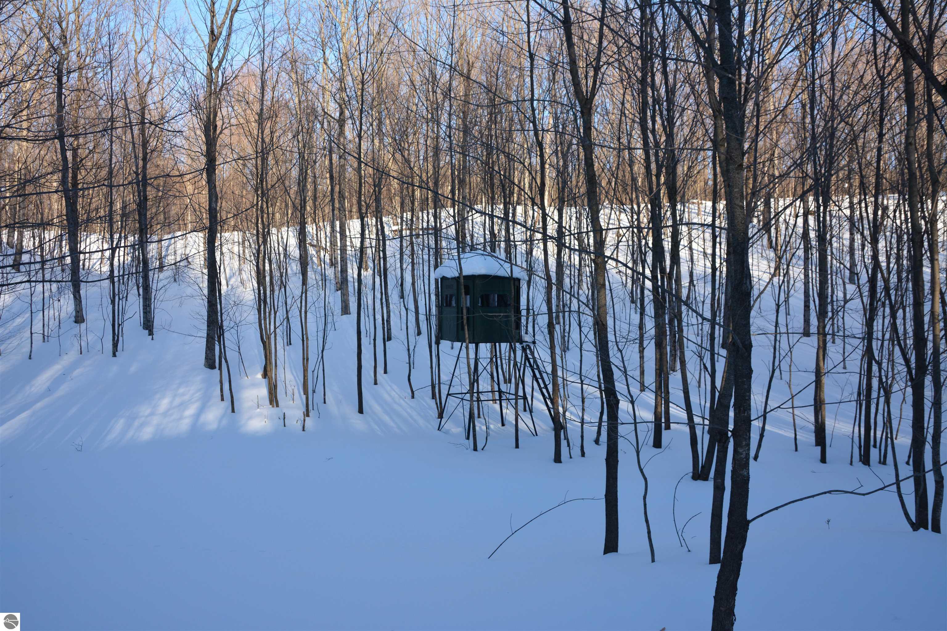 0 S Schomberg Road